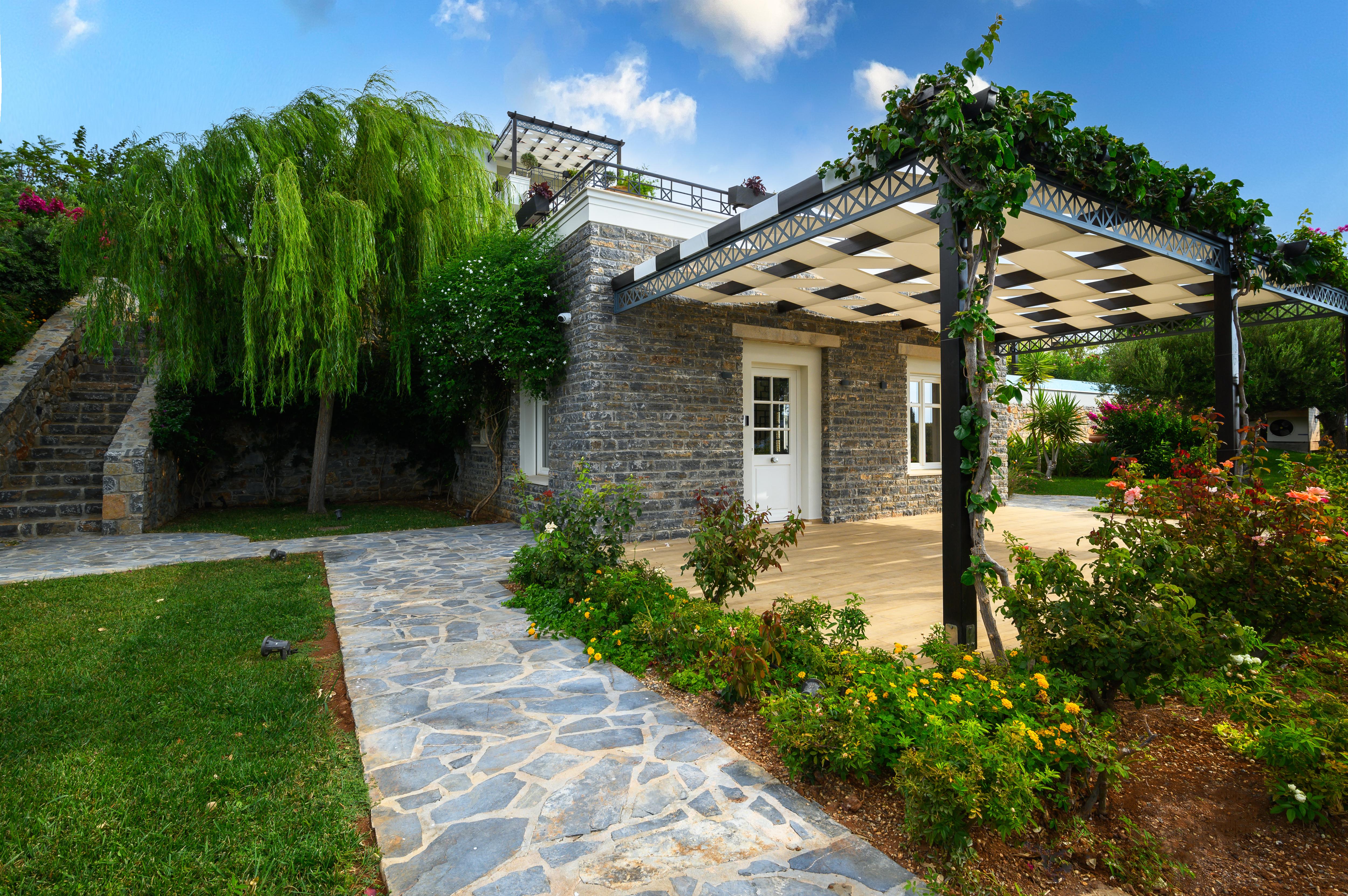 Camellia Gallary Image 5