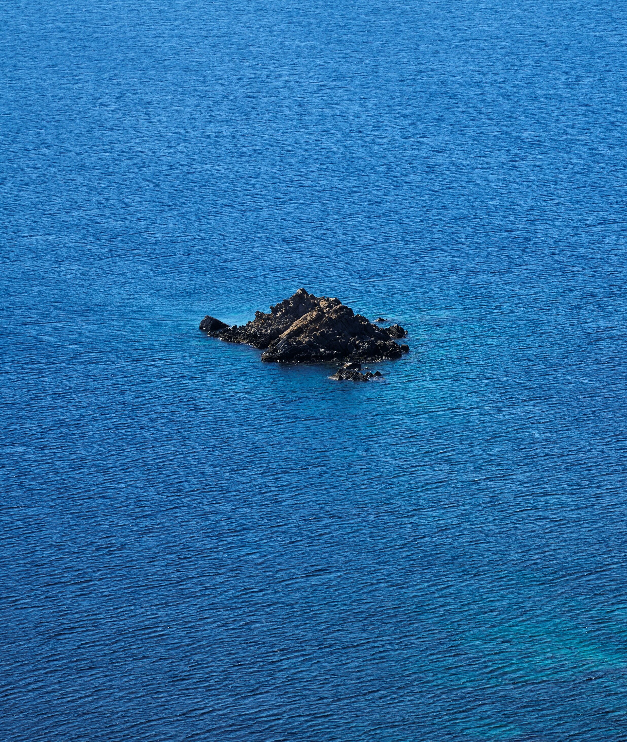 carmina-image-8