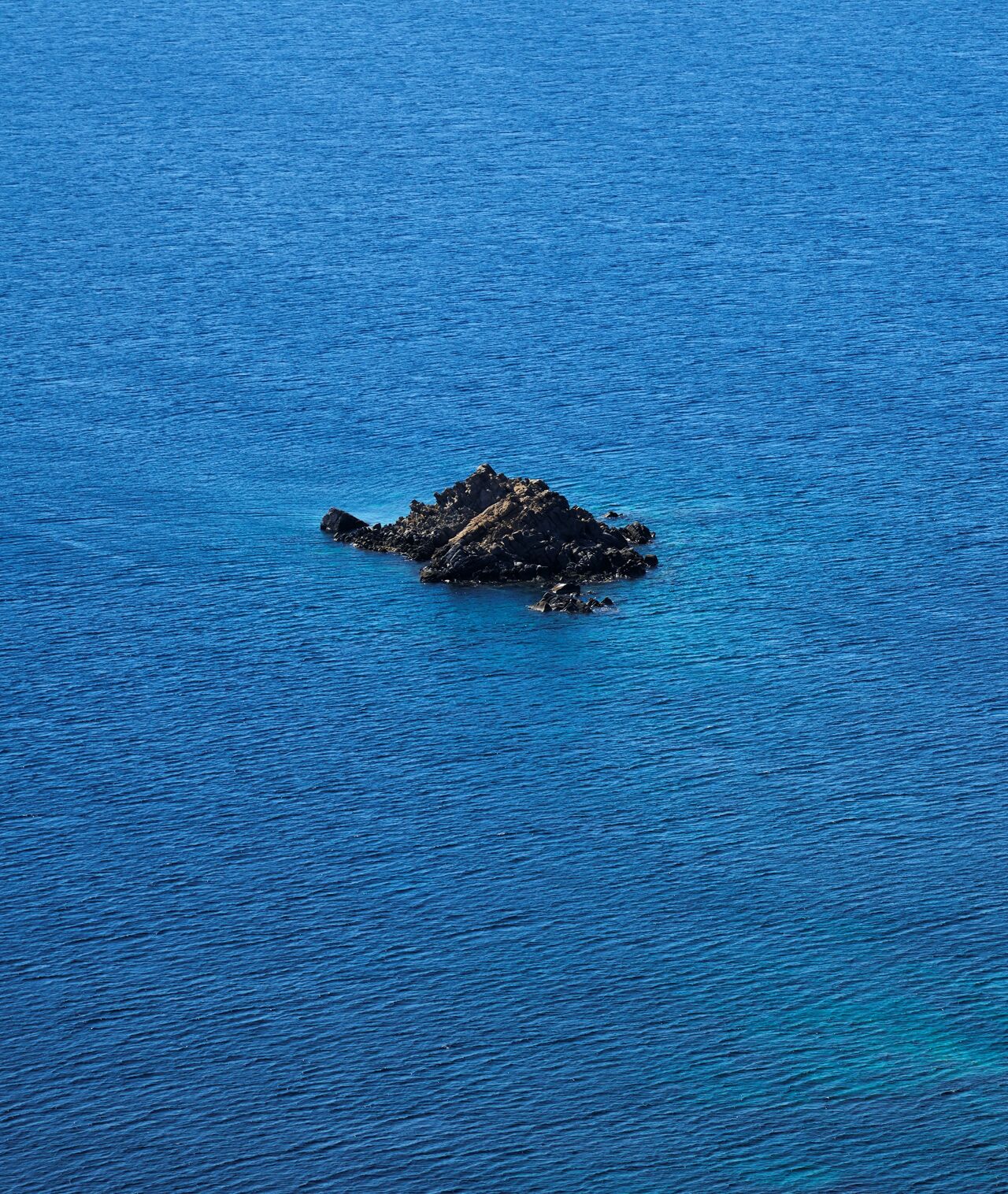 carmina-image-8