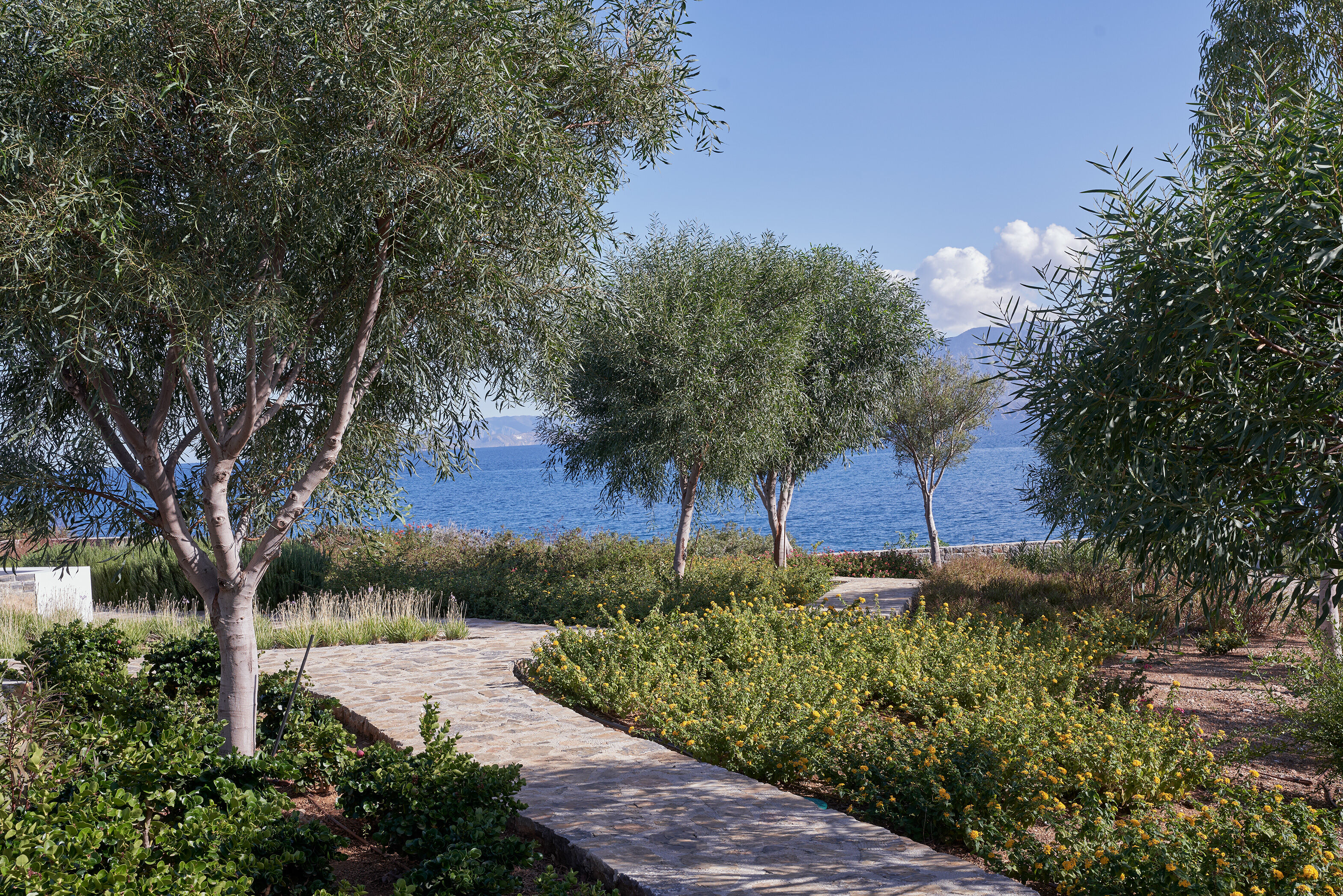 Ismene Gallary Image 5
