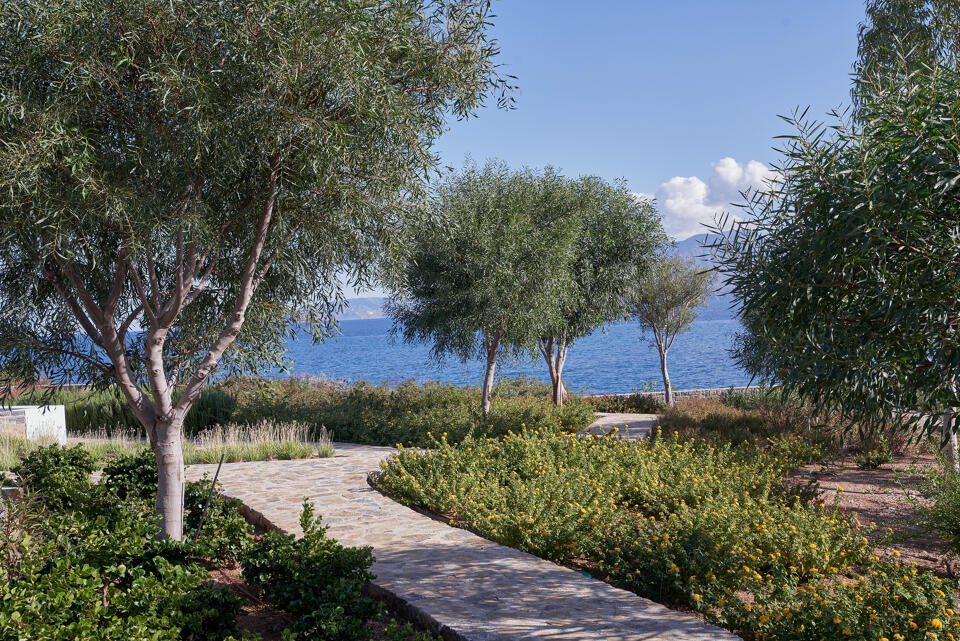 Ismene Gallery Image 5