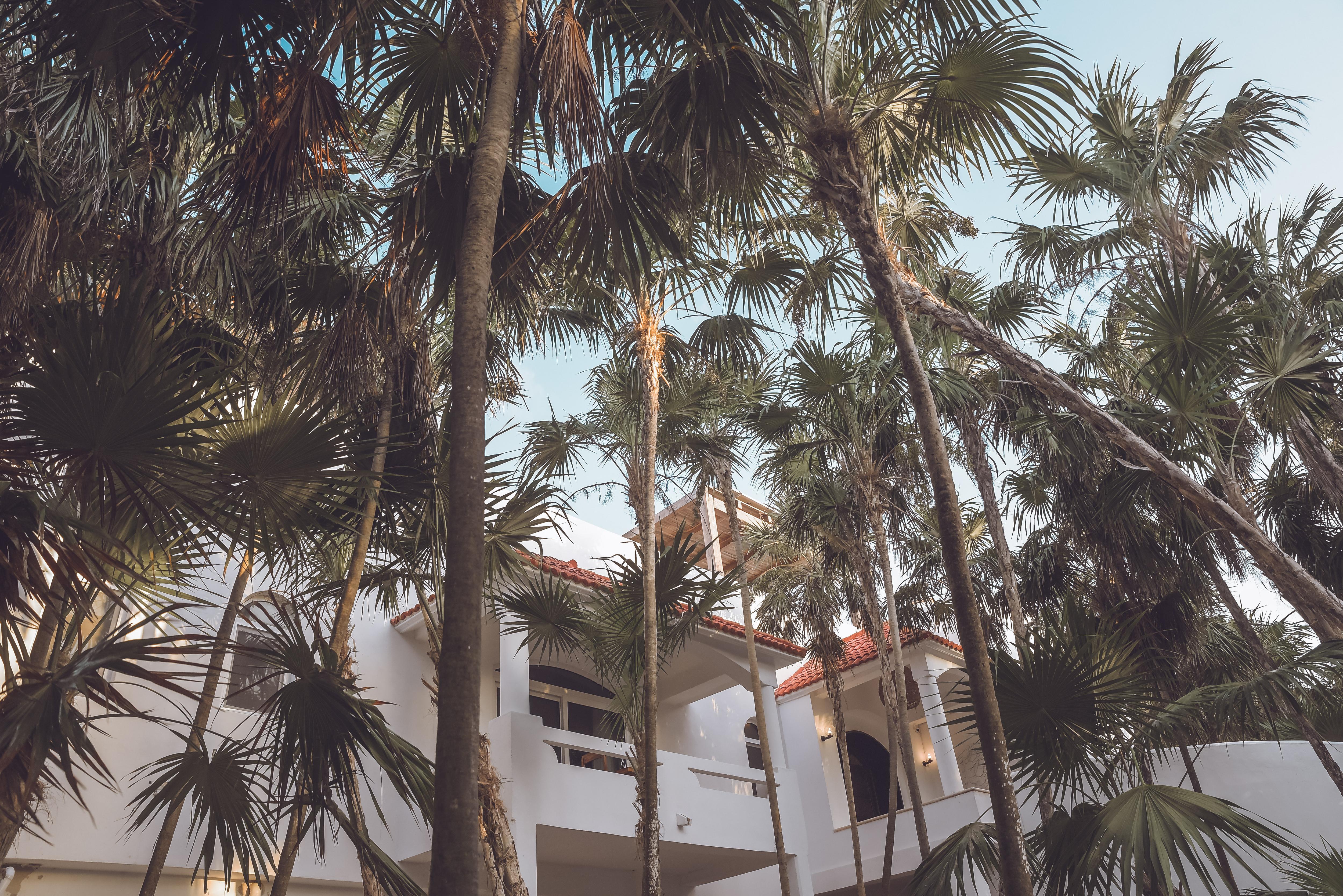 Villa Destiny Gallary Image 1