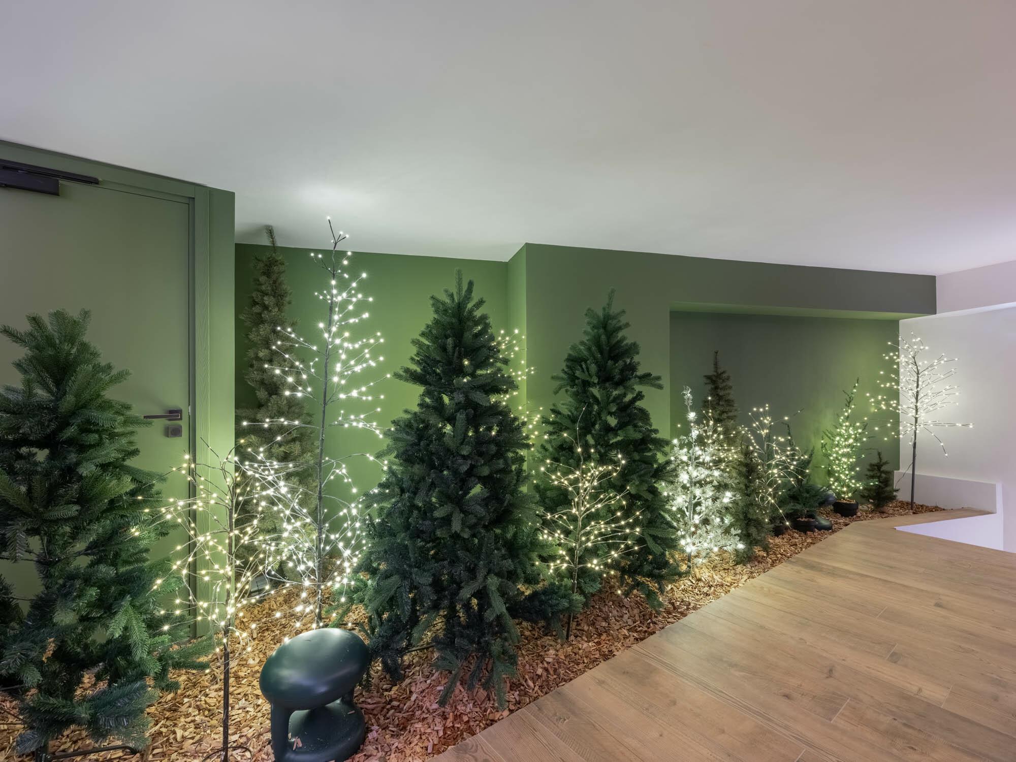 Apartment Brunello Gallery Image 4