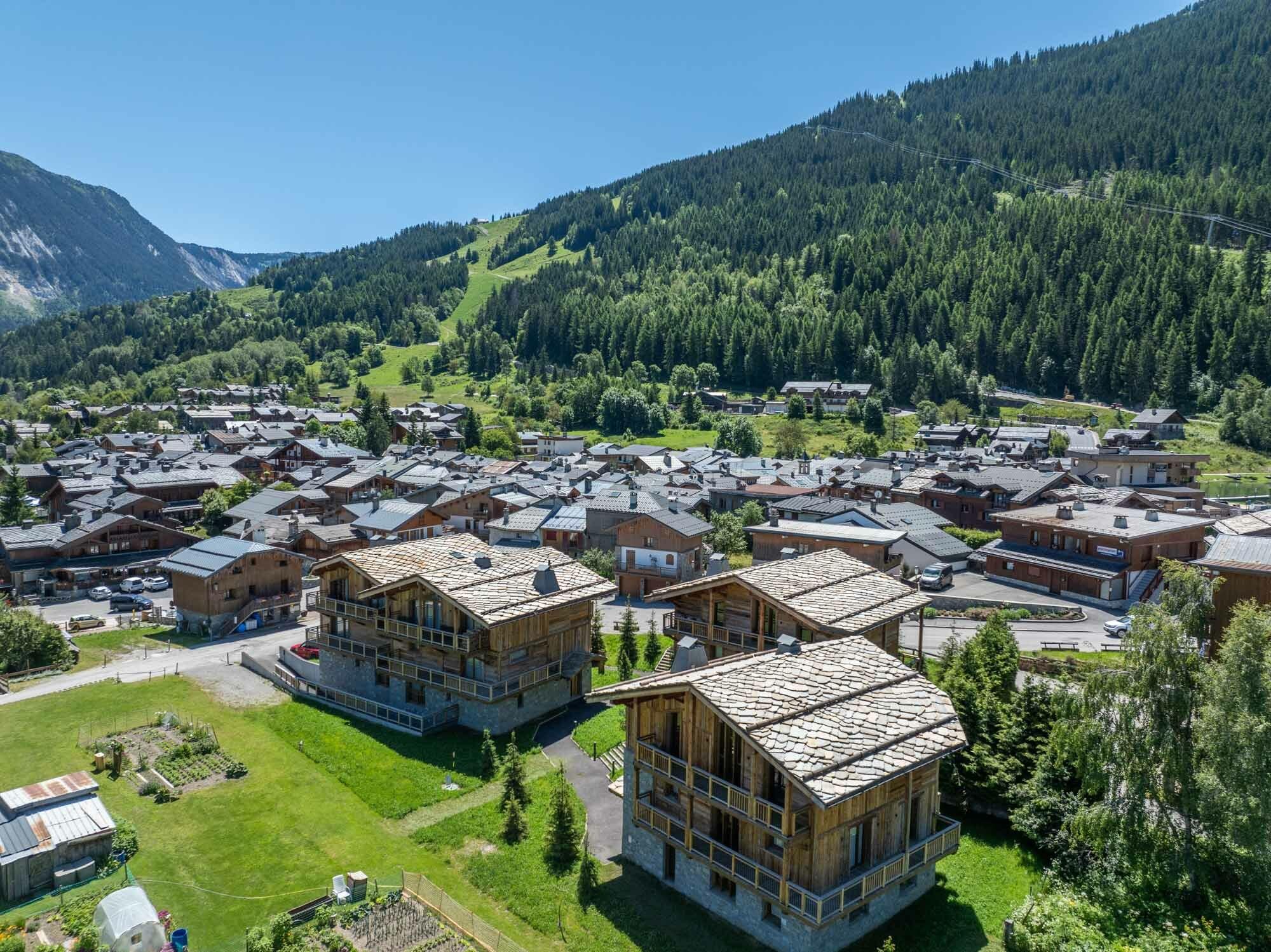 Chalet Bois du Fontanil Gallery Image 6