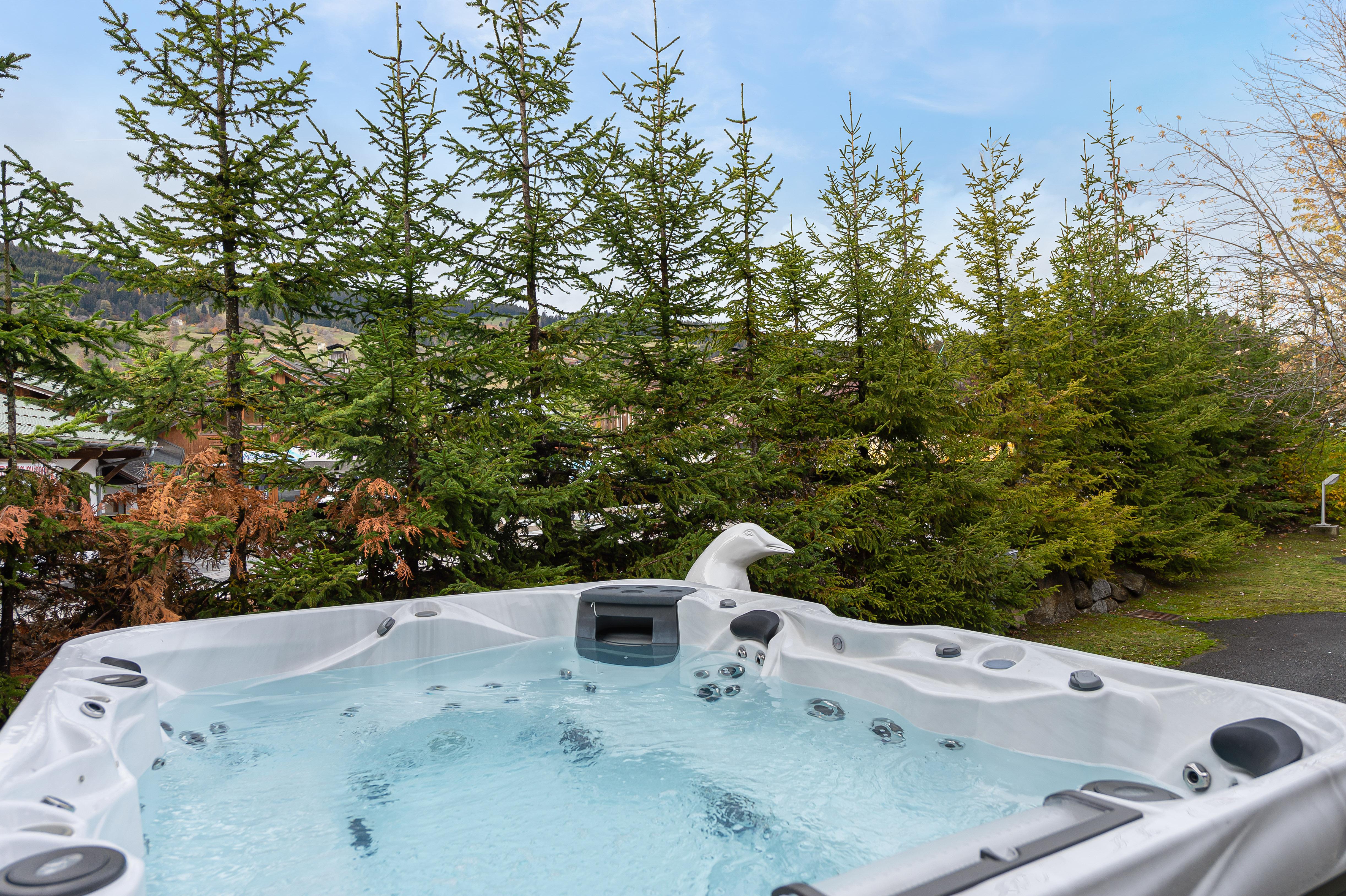 Chalet Mozart Gallery Image 4