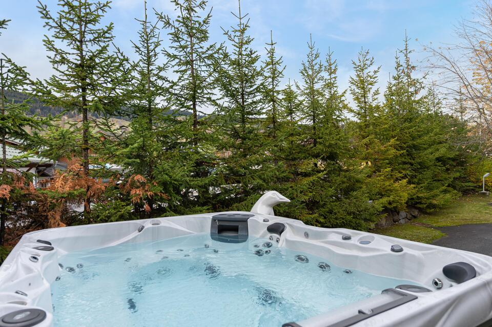 Chalet Mozart Gallery Image 4