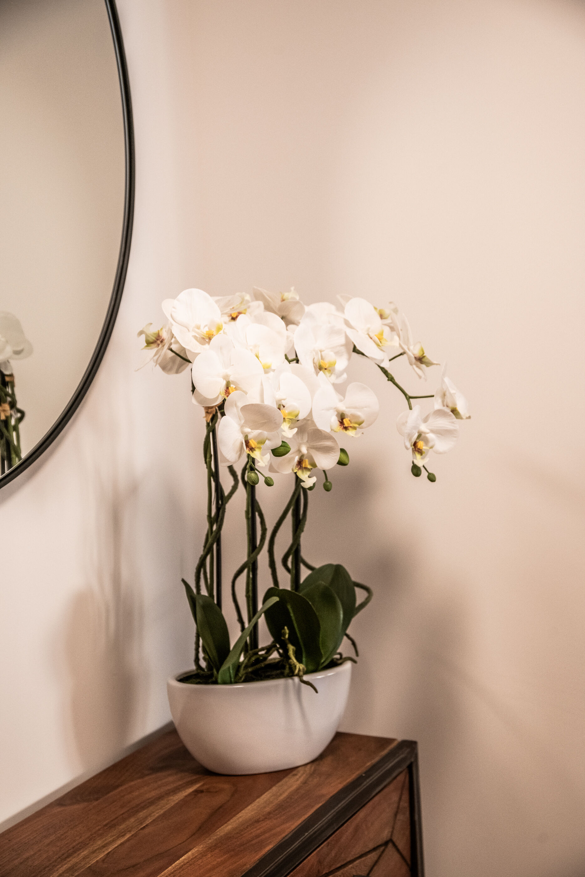 Apartment Clematis Gallary Image 6