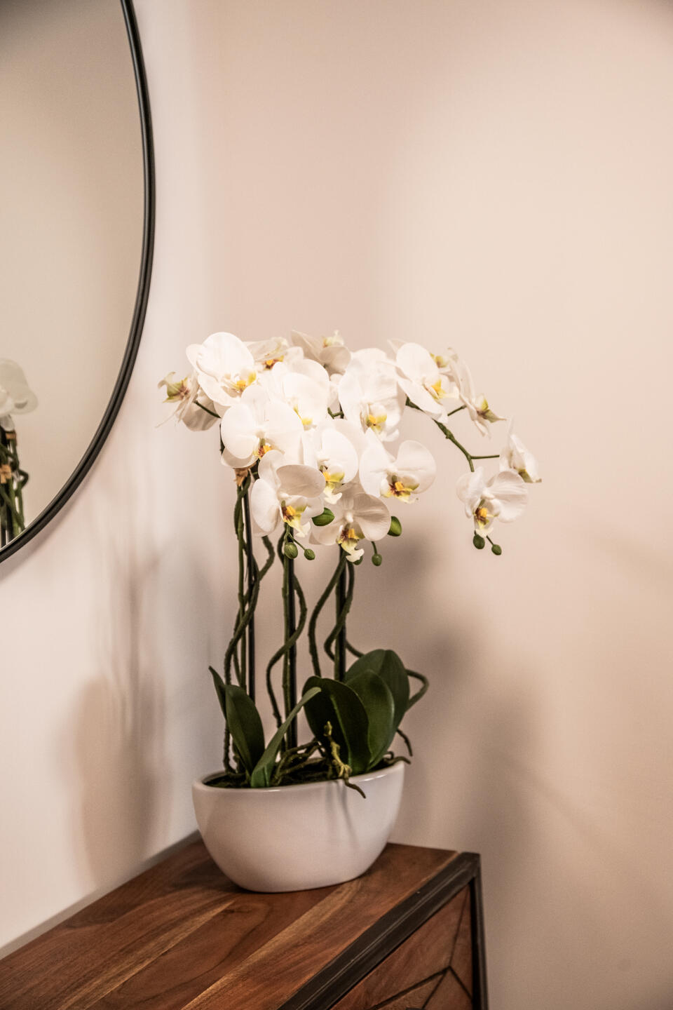 Apartment Clematis Gallery Image 6