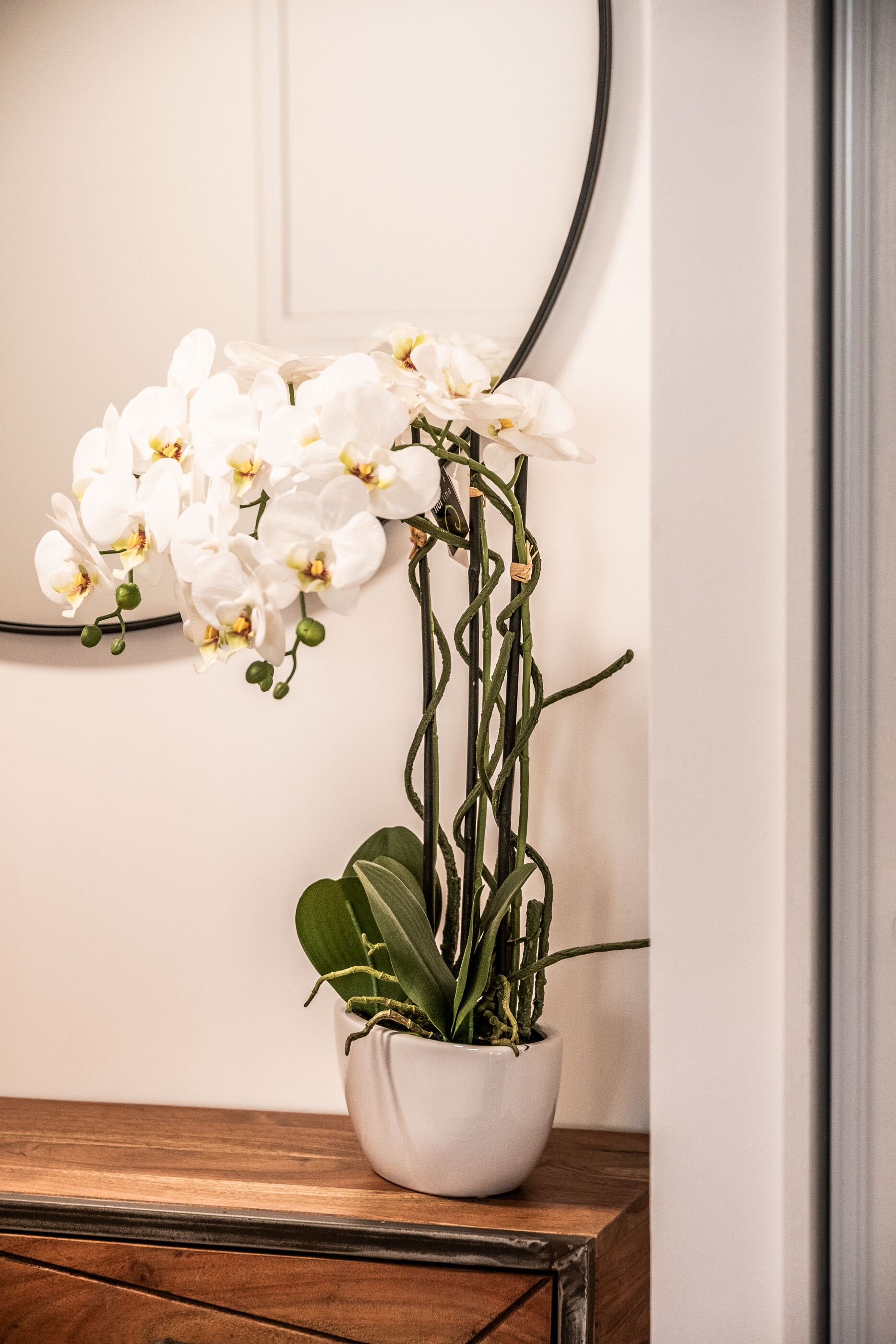 Apartment Clematis Gallary Image 1