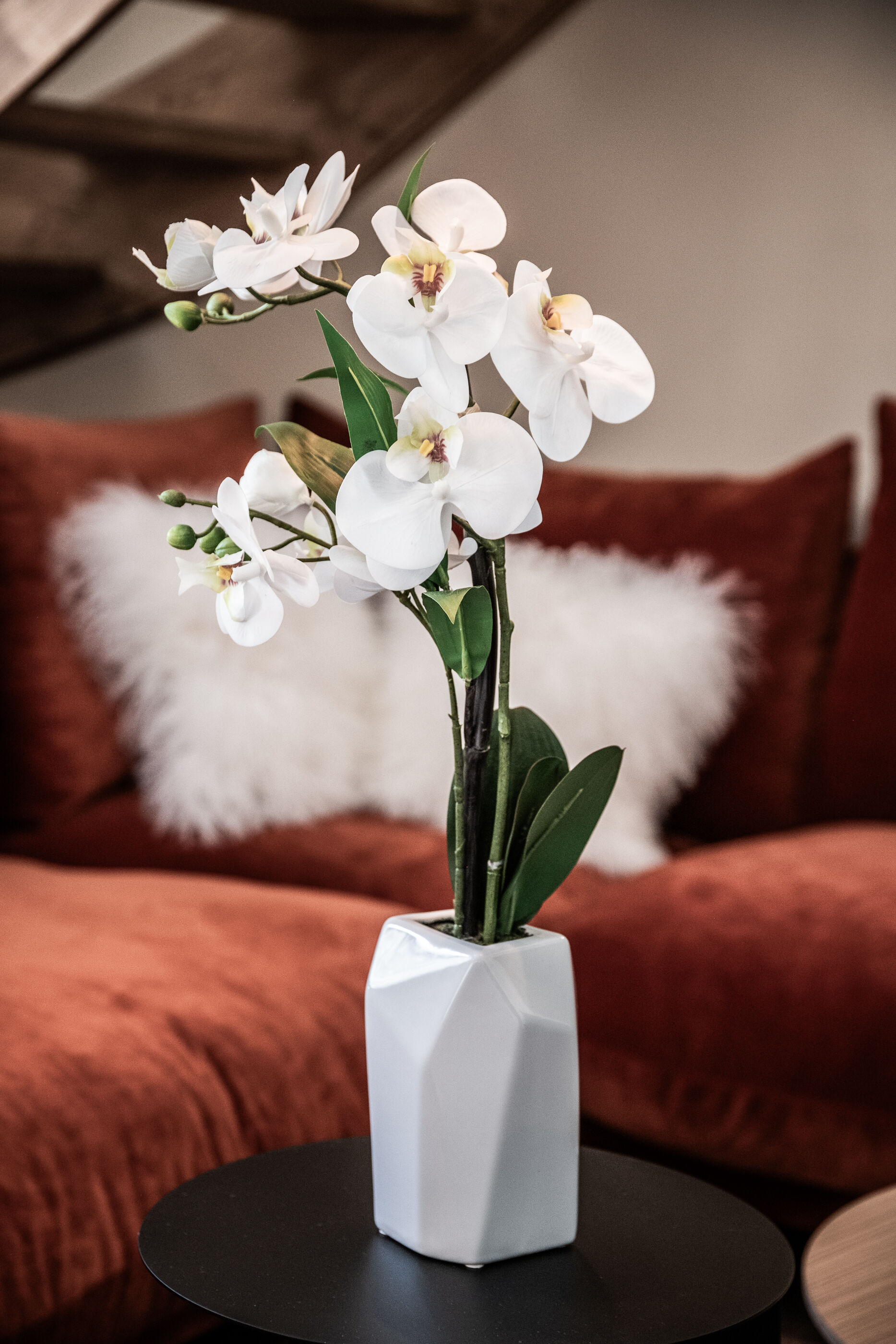 Apartment Colibri Gallary Image 1