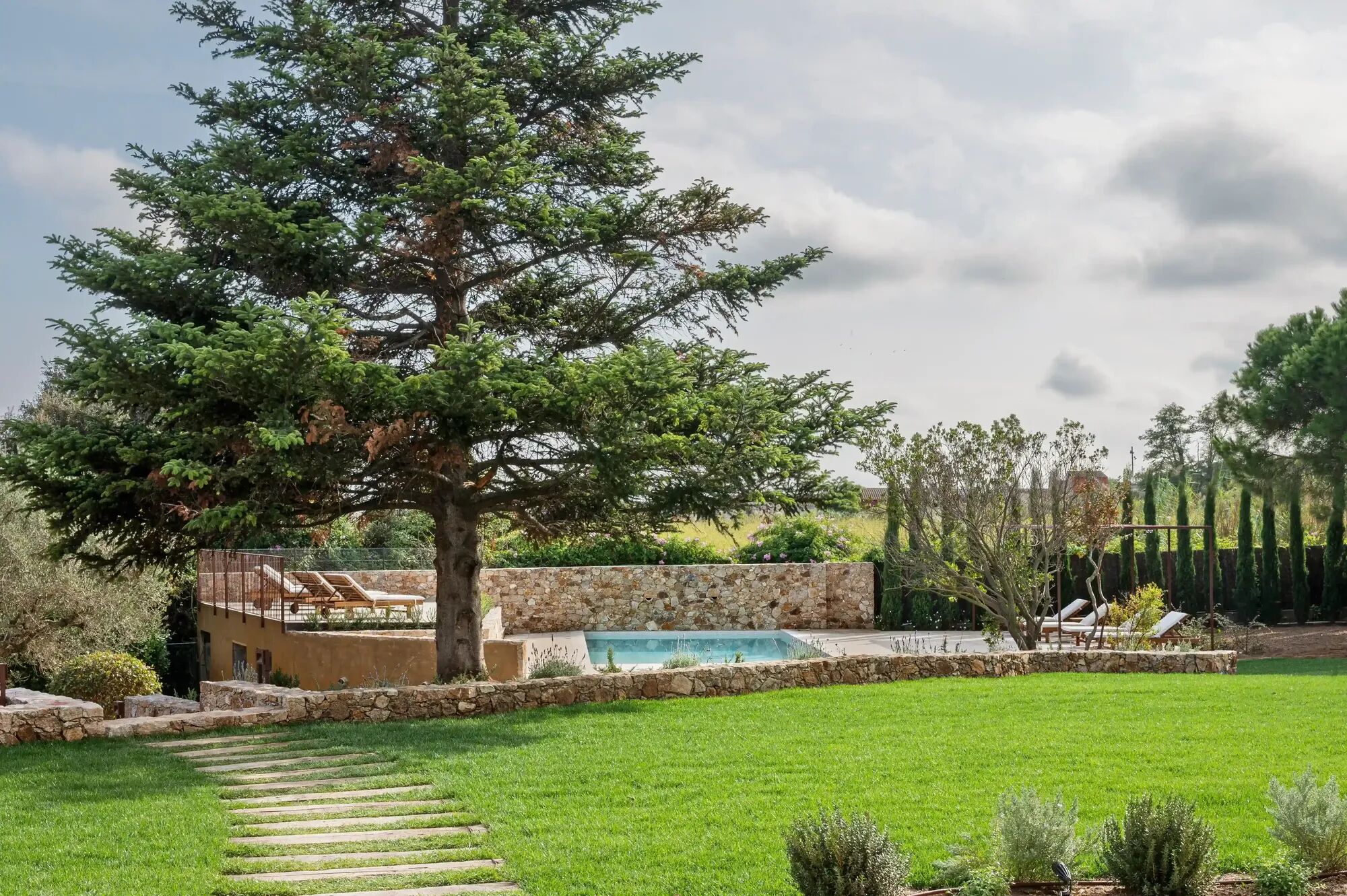 mas-del-suro-image-3