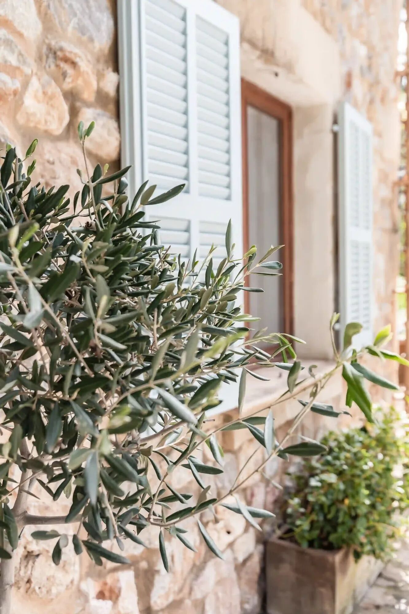 Tramuntana Farmhouse Gallary Image 4