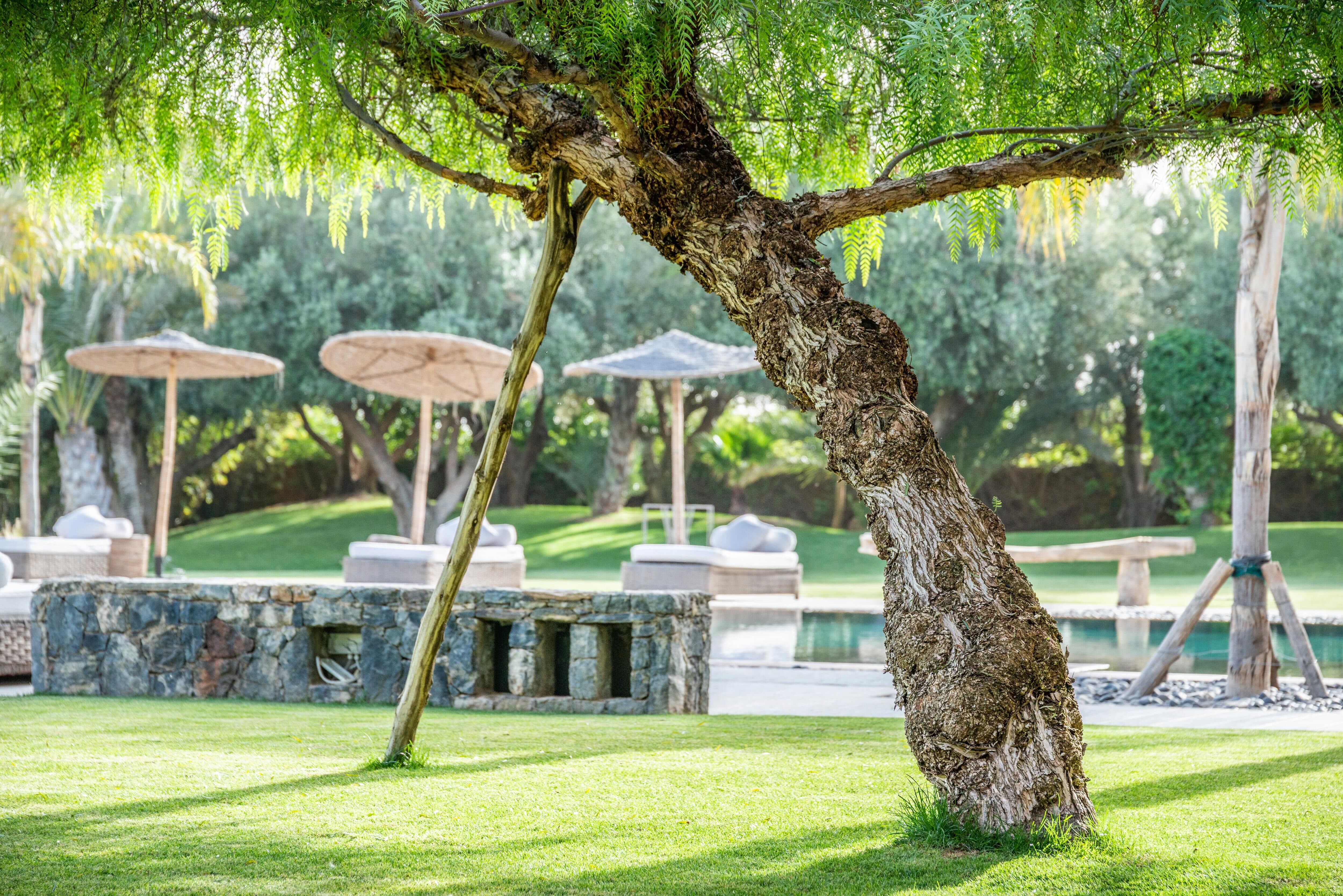 Villa Marhba Gallary Image 3