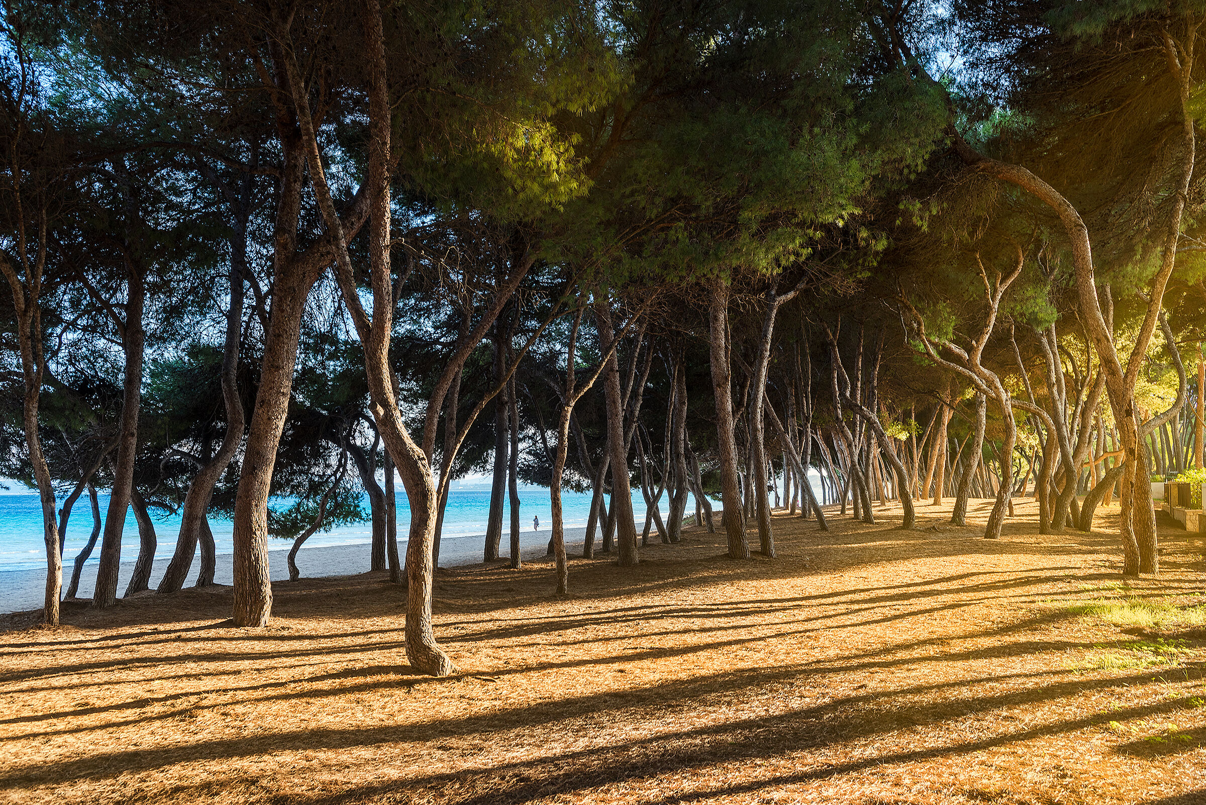 villa-mediterrania-i-image-10
