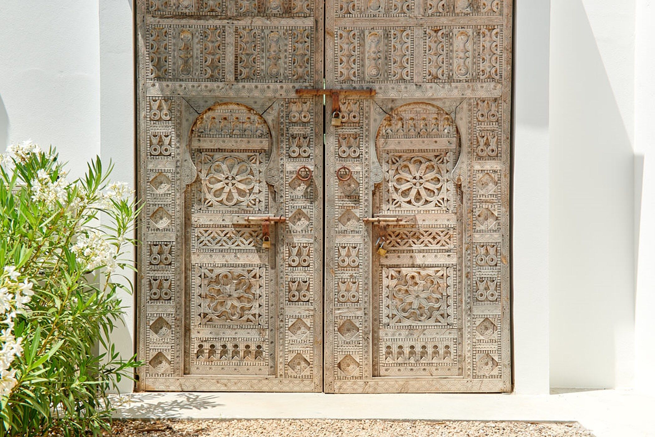 Can Frutal Gallary Image 1