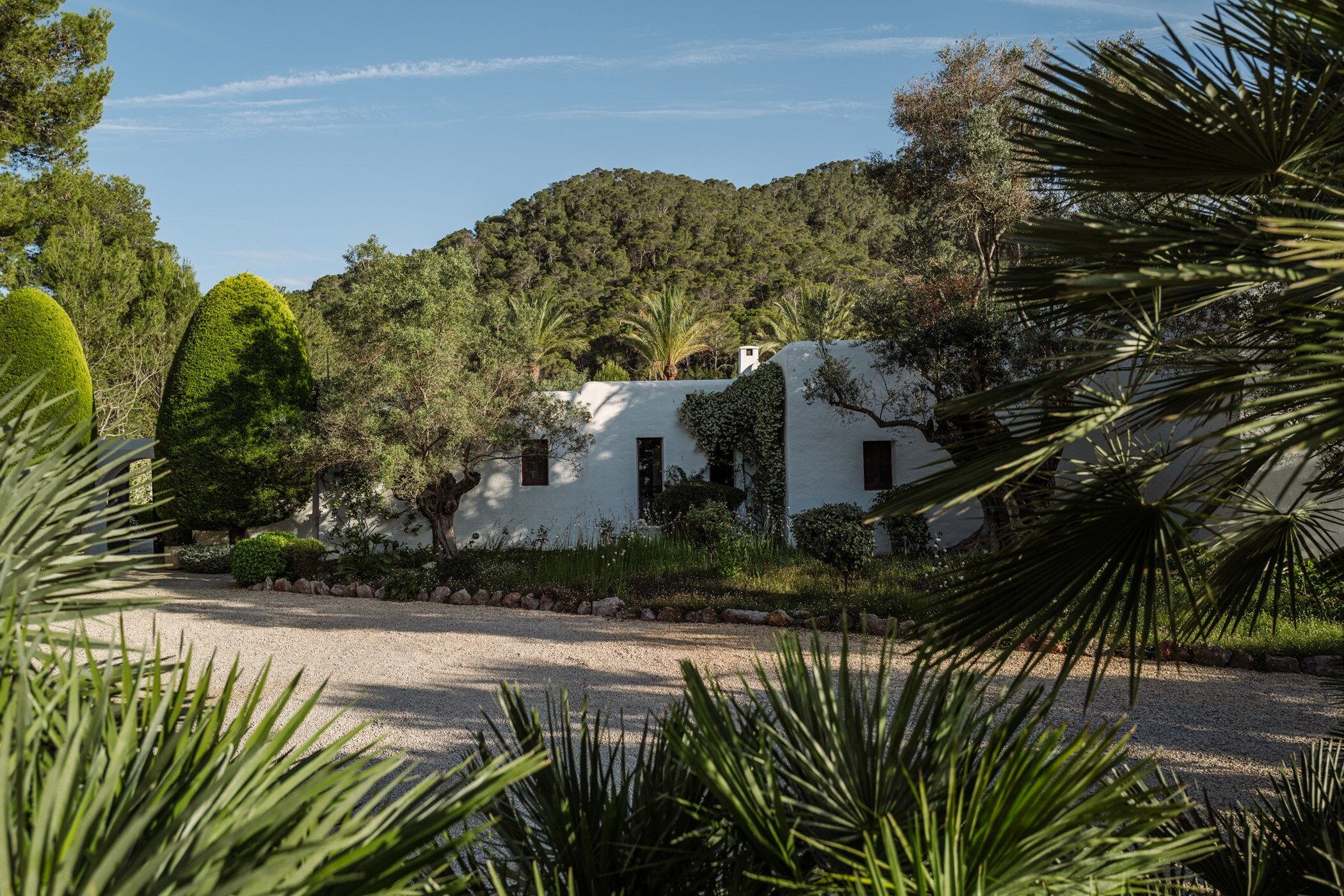 can-xarraca-image-7