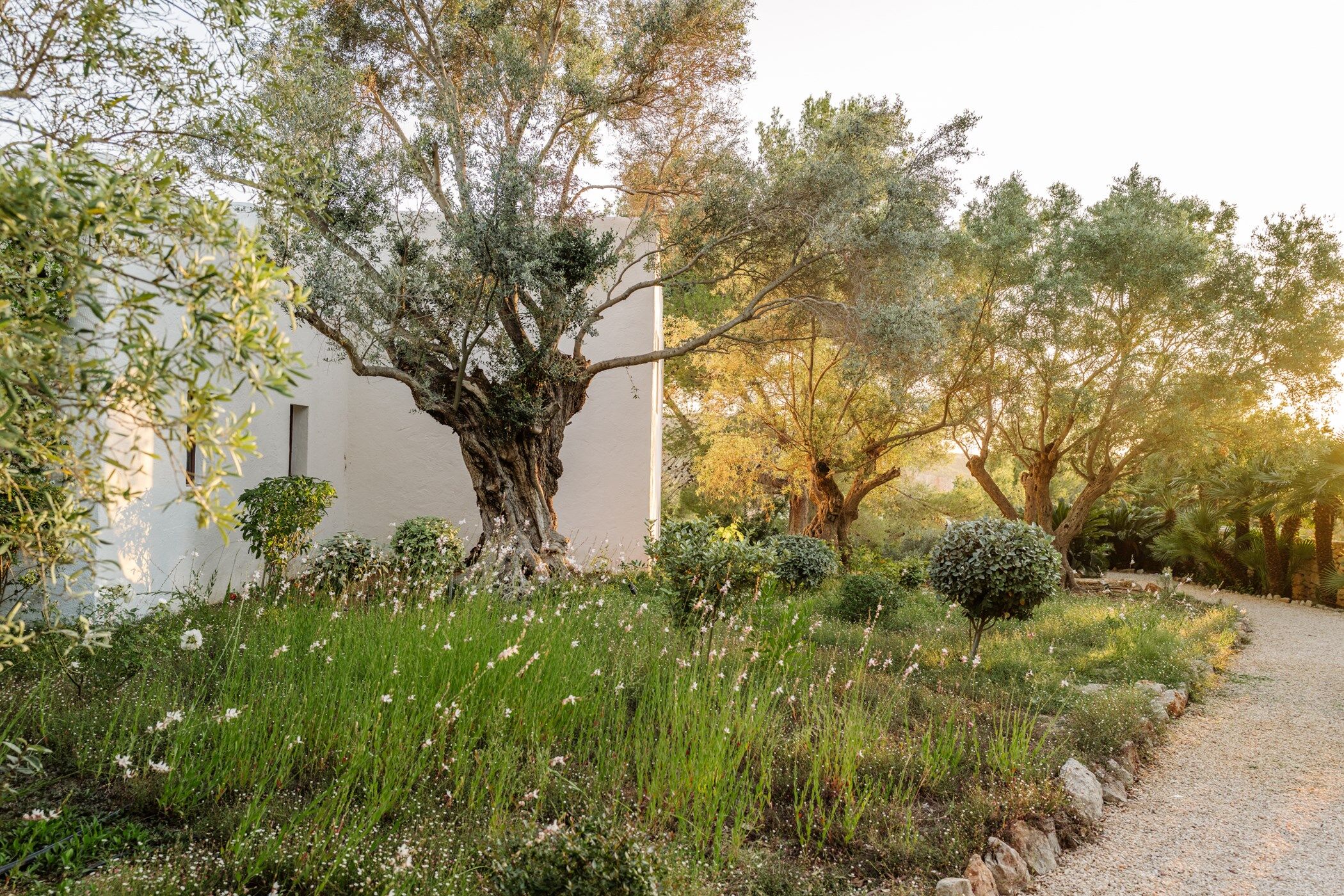 can-xarraca-image-8