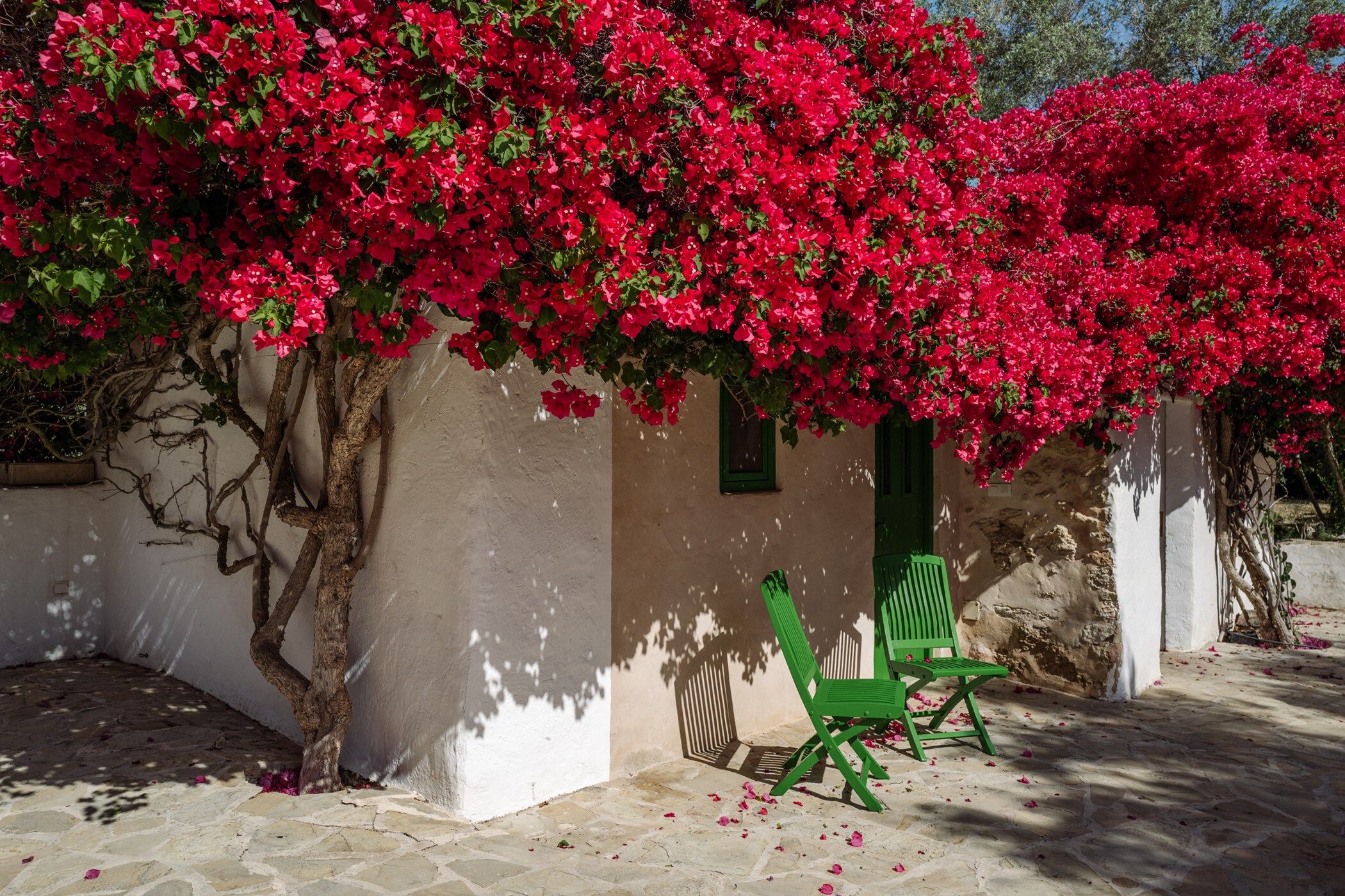 Can Xarraca Gallary Image 1