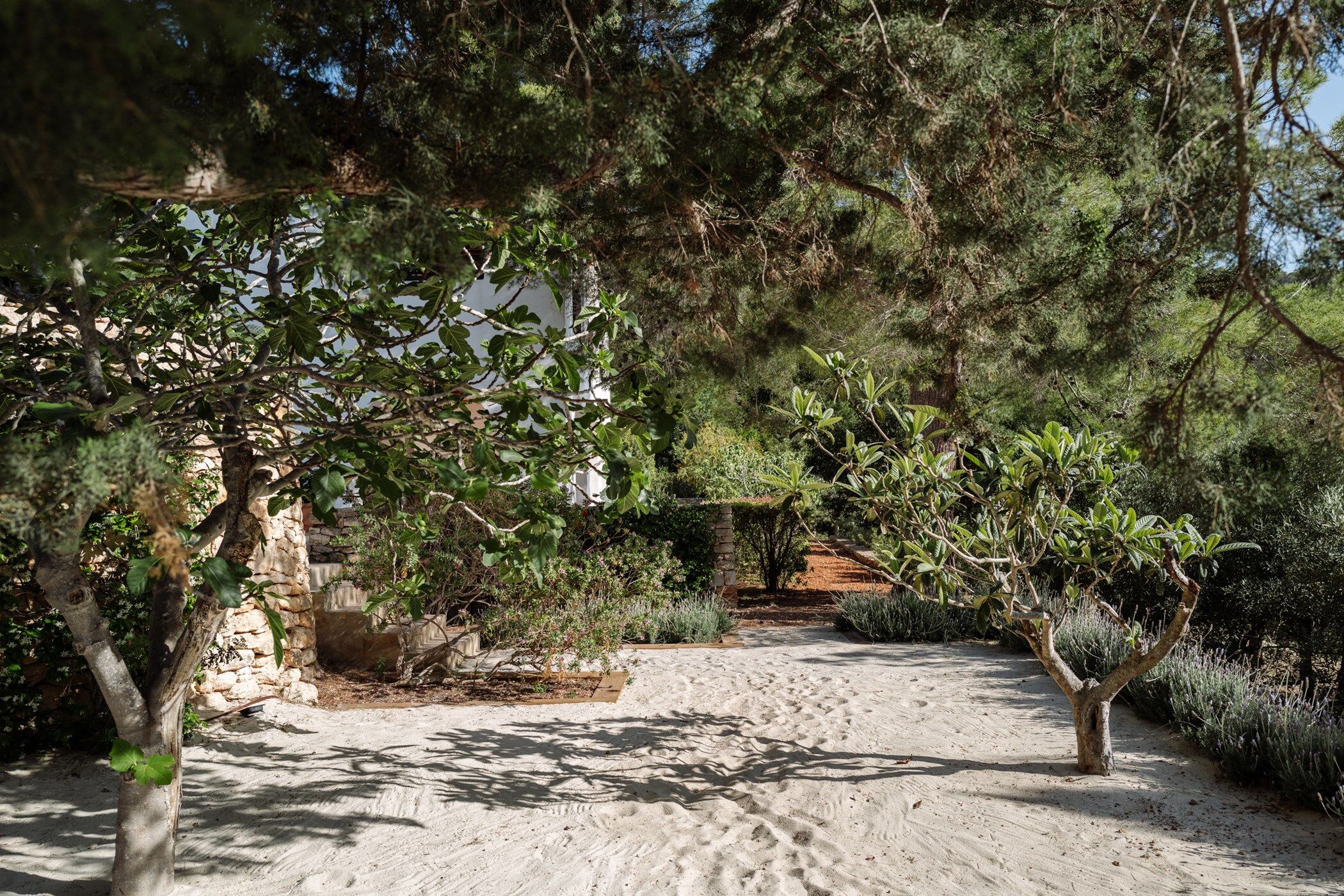 Can Xarraca Gallary Image 1