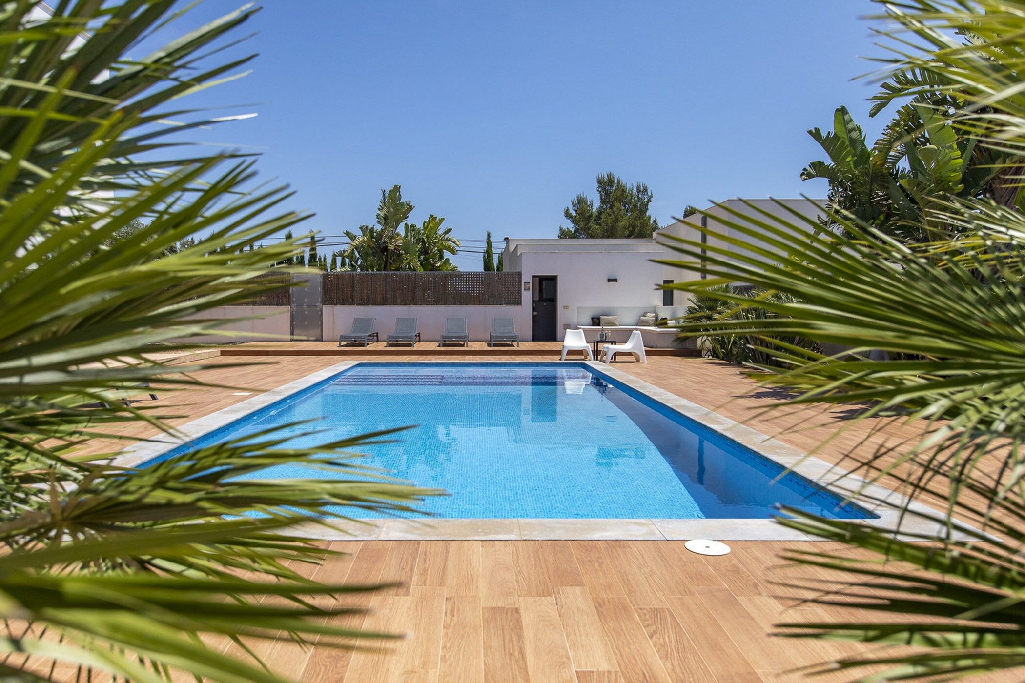 casa-can-tina-image-5