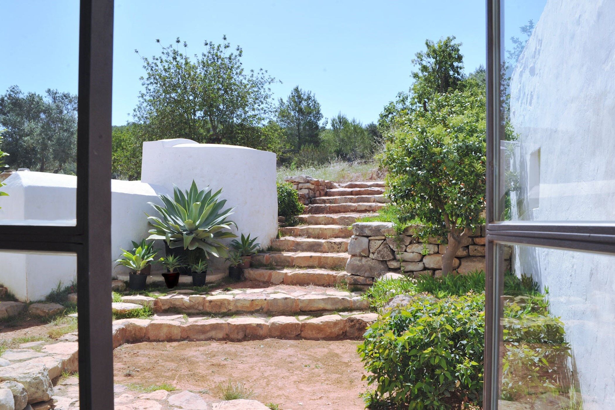 Finca Serene Gallary Image 5