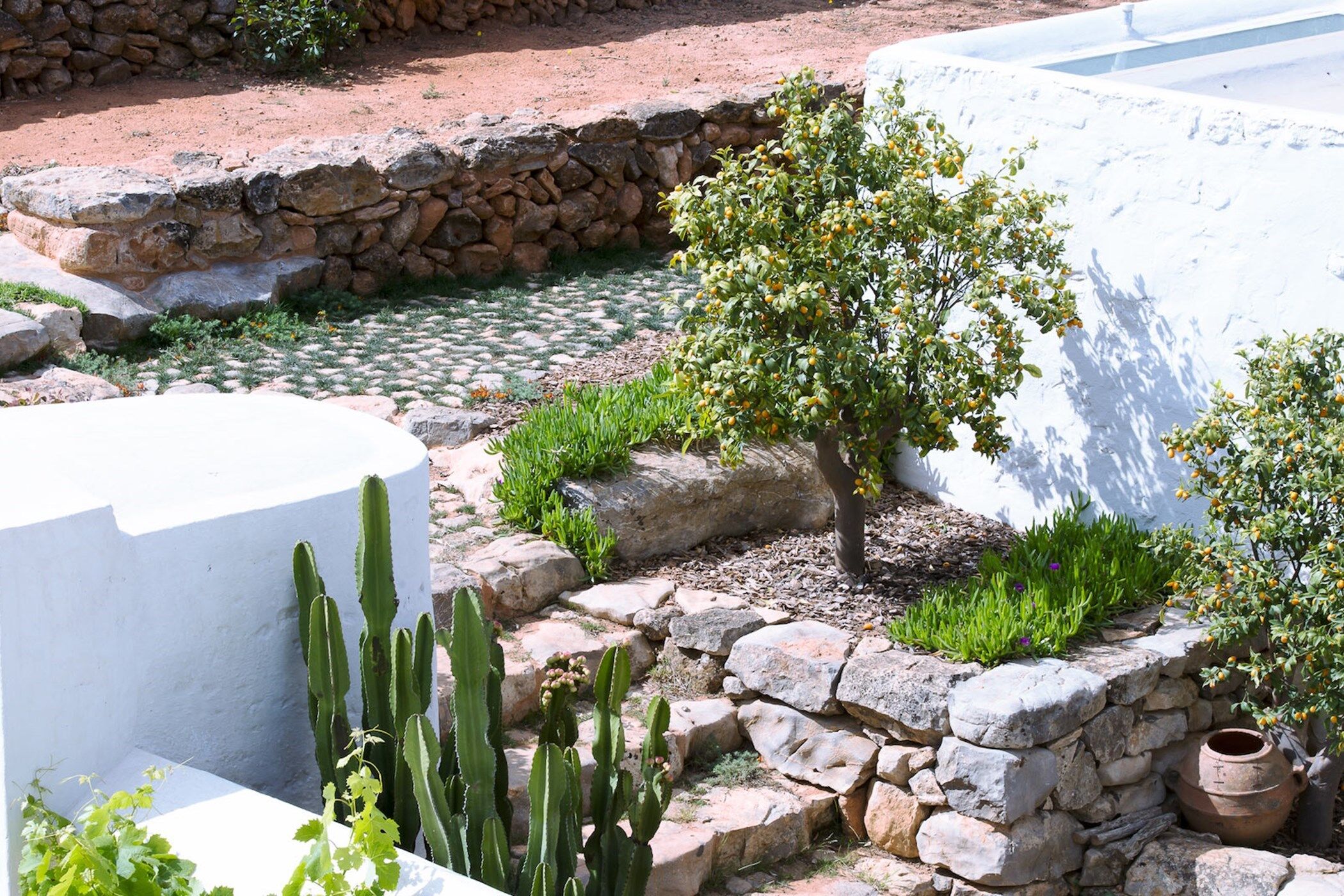 Finca Serene Gallary Image 6