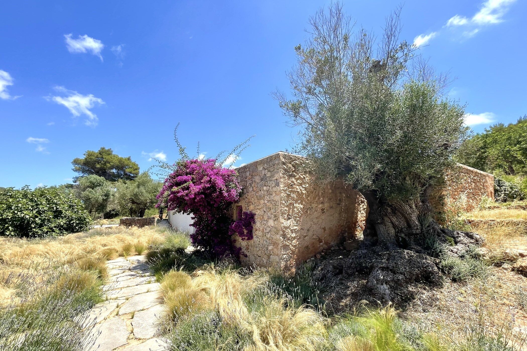 Finca Serene Gallary Image 2
