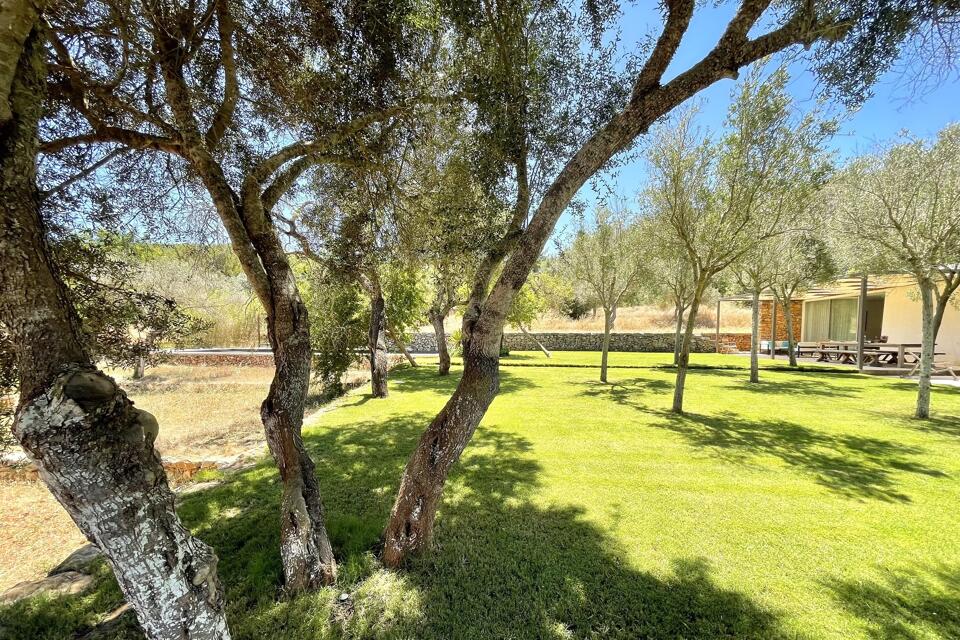 Finca Serene Gallery Image 4