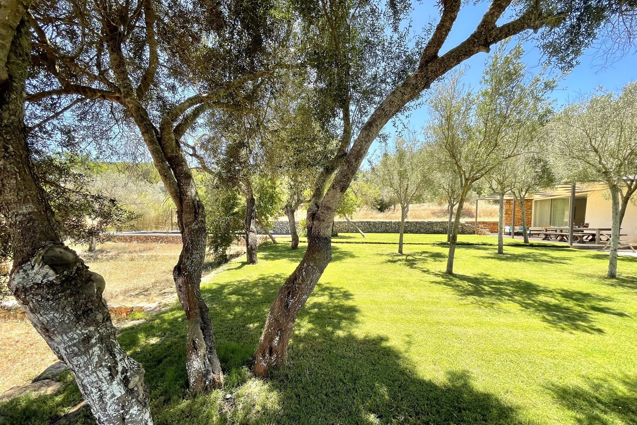 Finca Serene Gallary Image 4