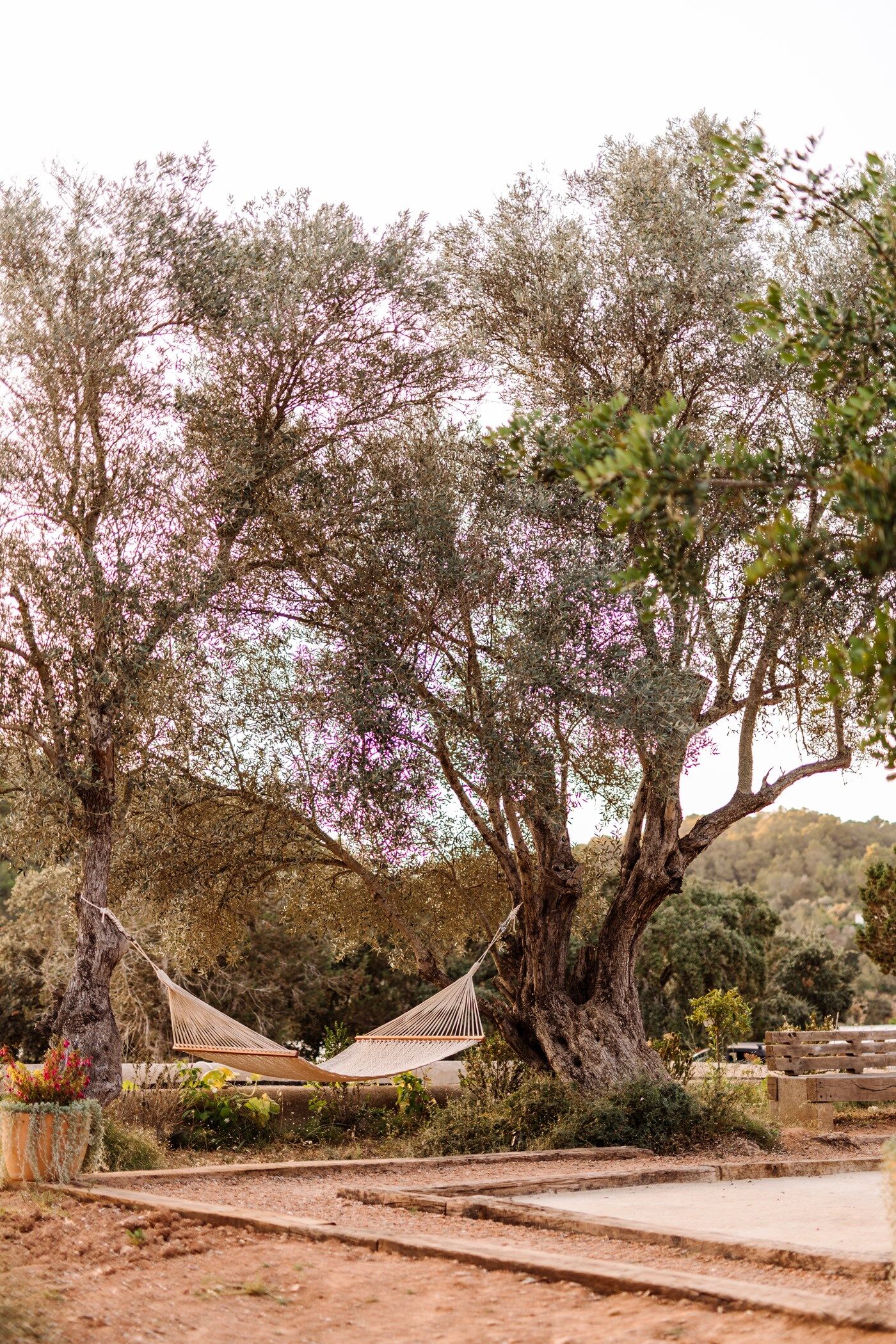 finca-utopia-image-9