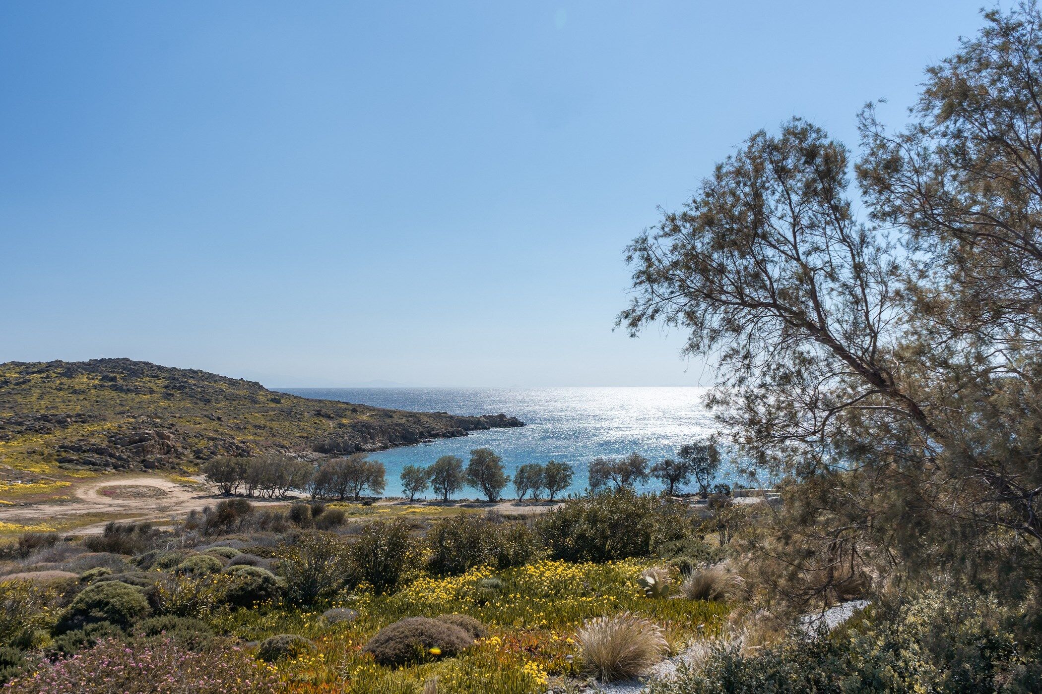 Villa Aliki Gallary Image 6