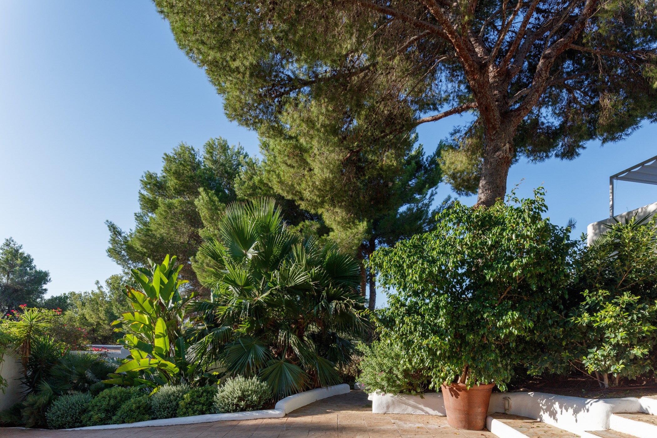 Villa Esther Gallary Image 6