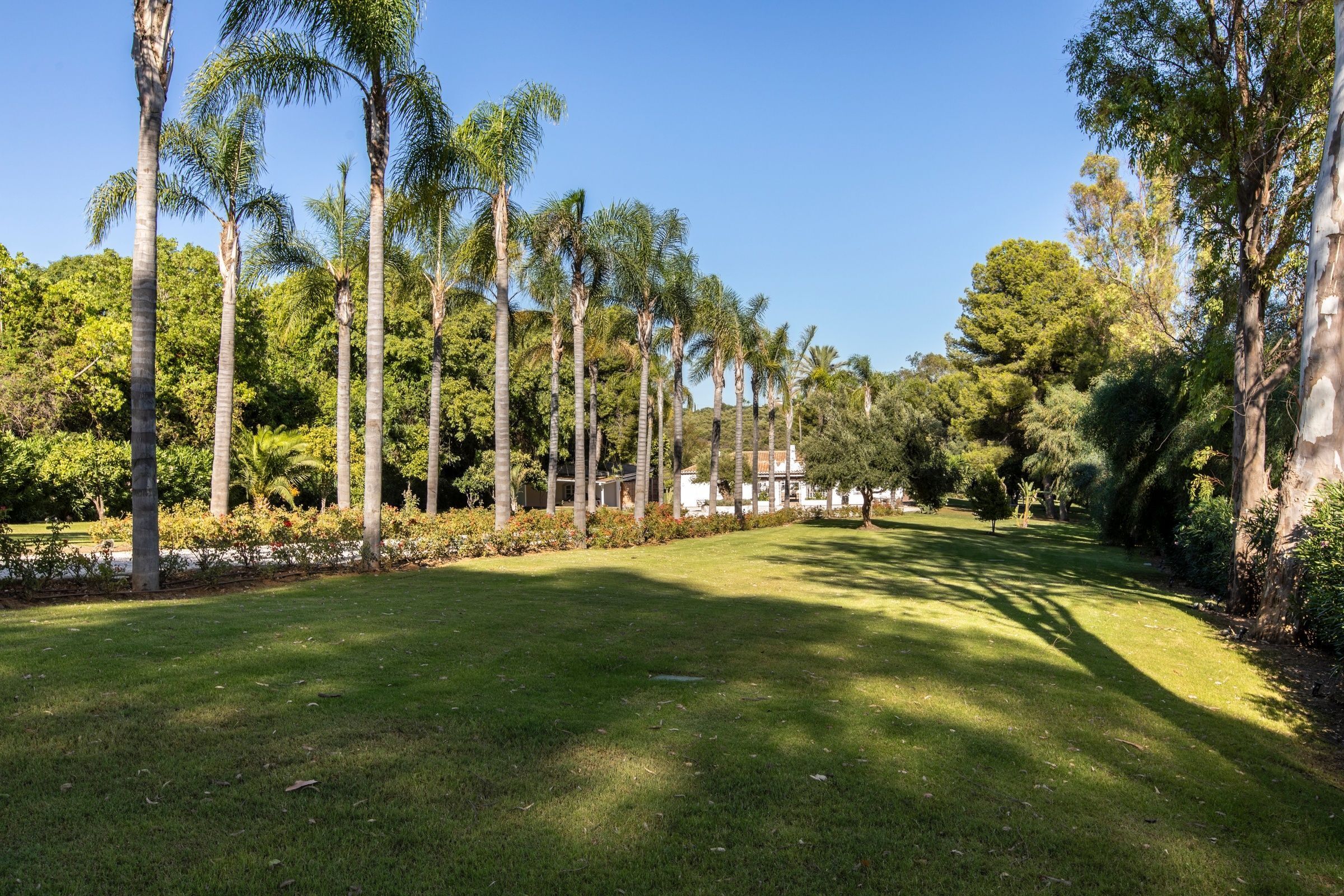 Casa del Lago Gallary Image 1
