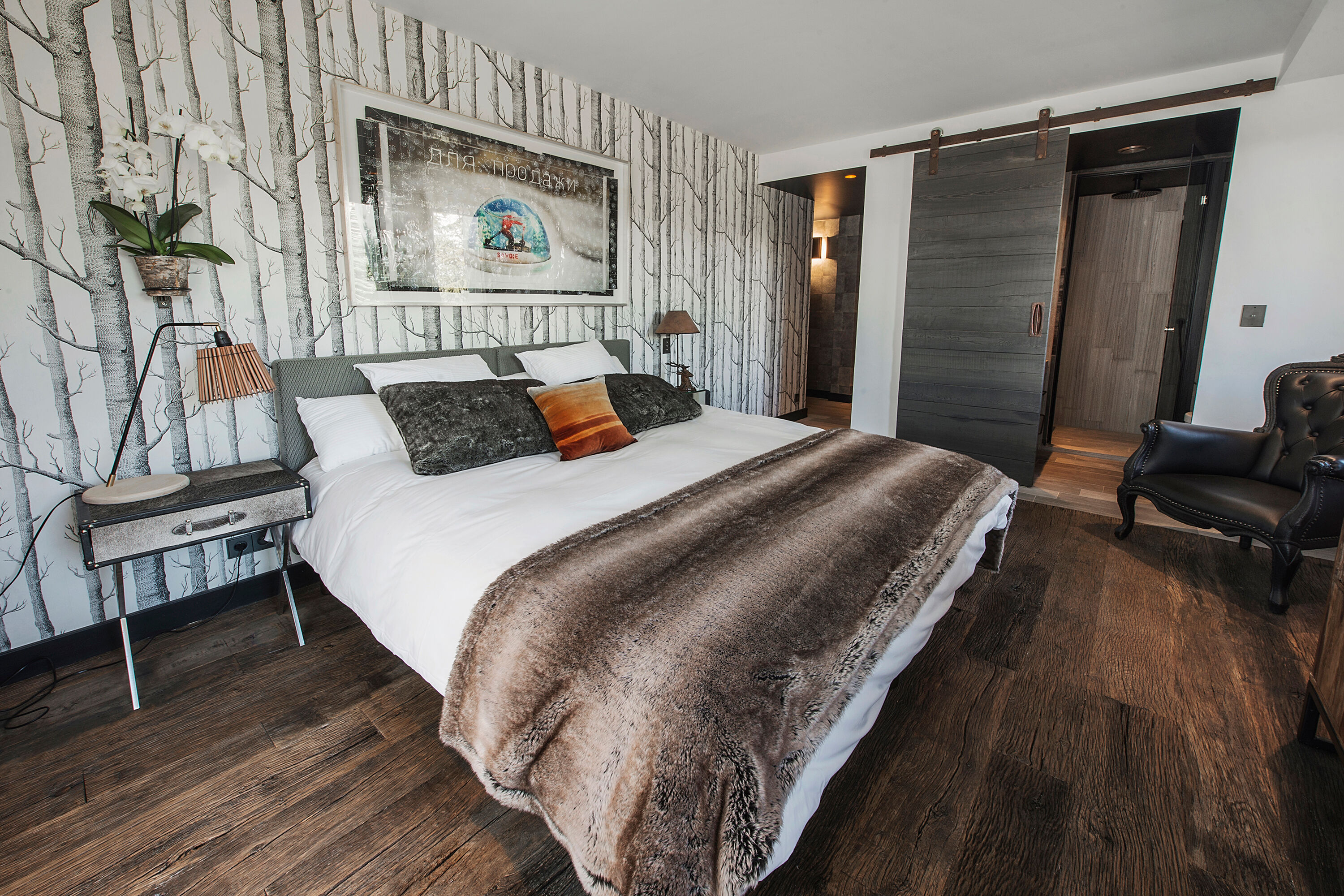 chalet-anakin-image-8