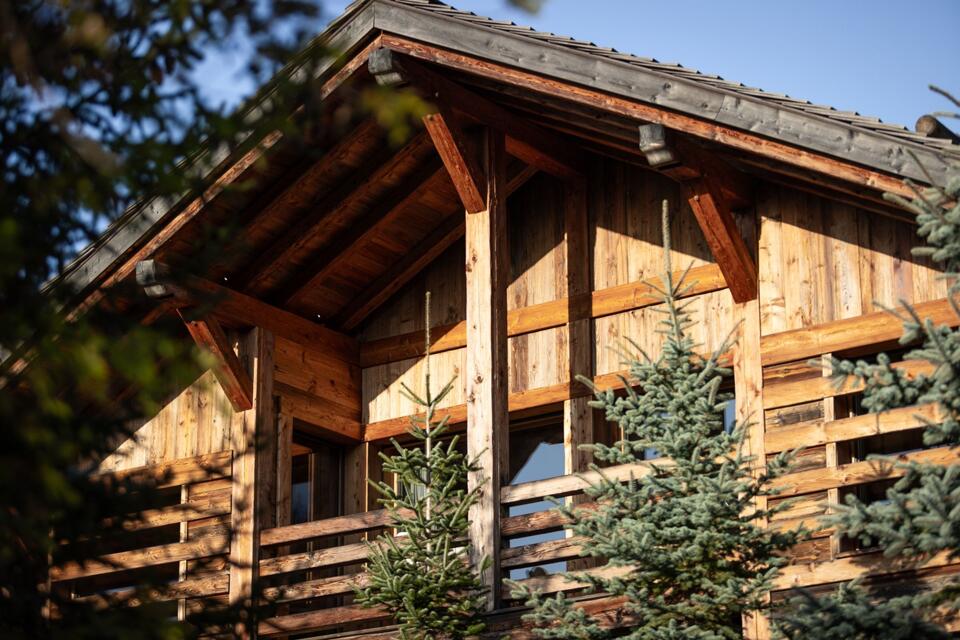 Chalet Cosmos Gallery Image 1