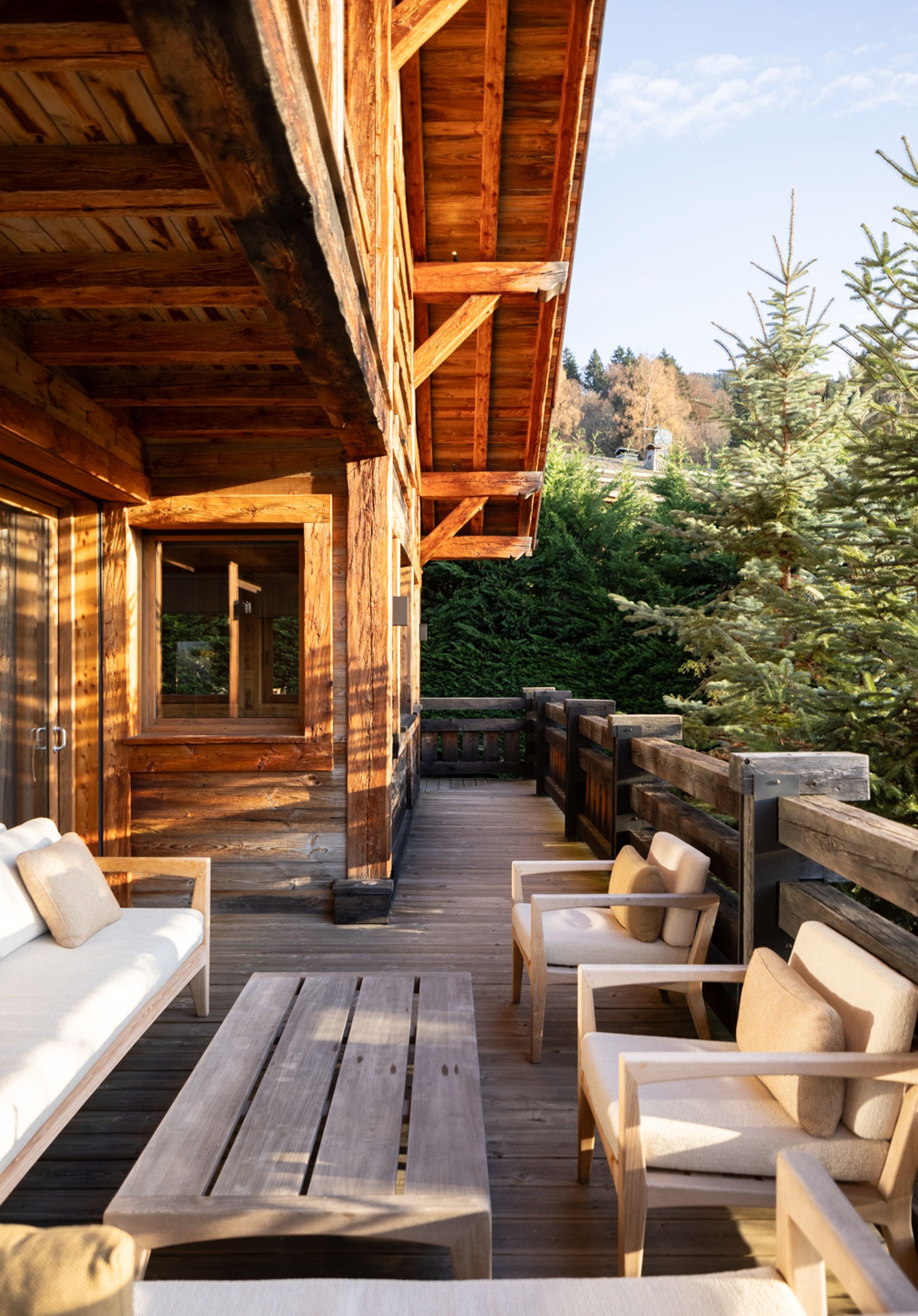 Chalet Cosmos Gallary Image 5