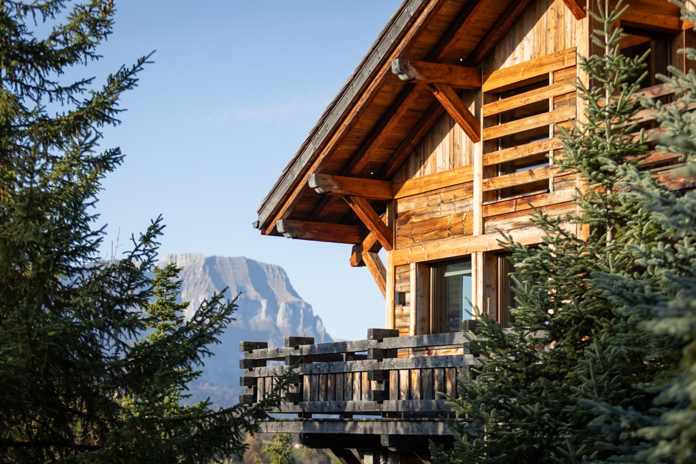 Chalet Cosmos Gallary Image 3