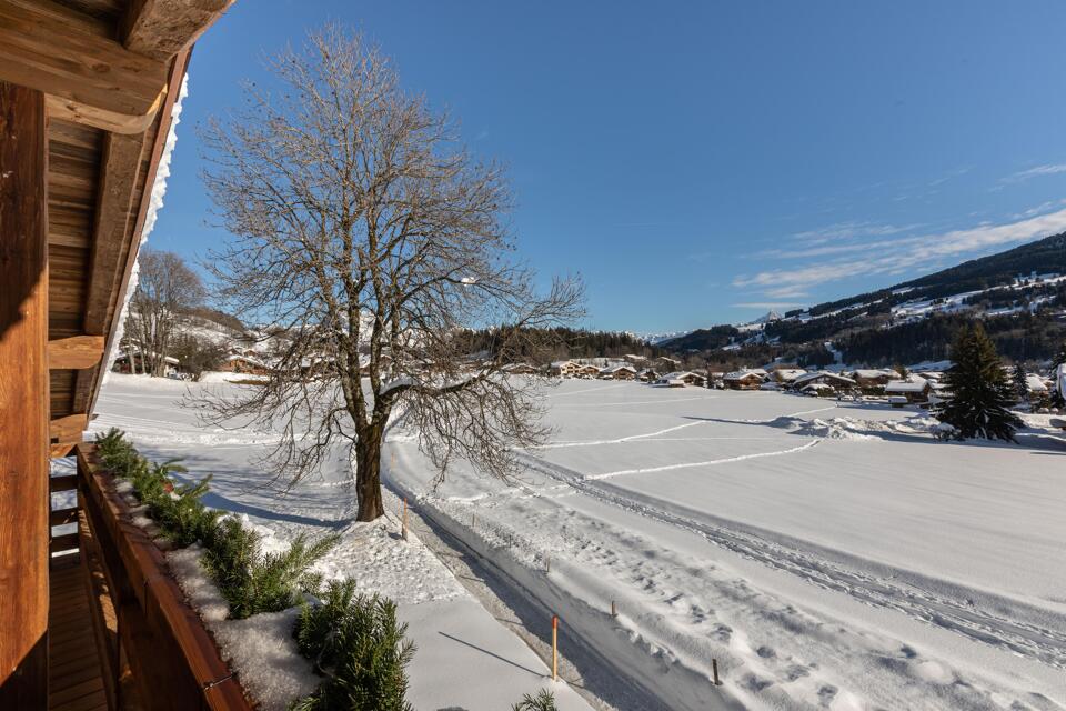 Chalet Le Jaillet Gallery Image 5