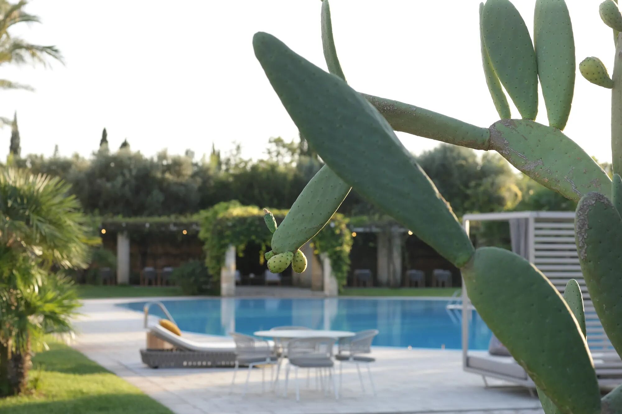 Masseria Ettore Gallary Image 4
