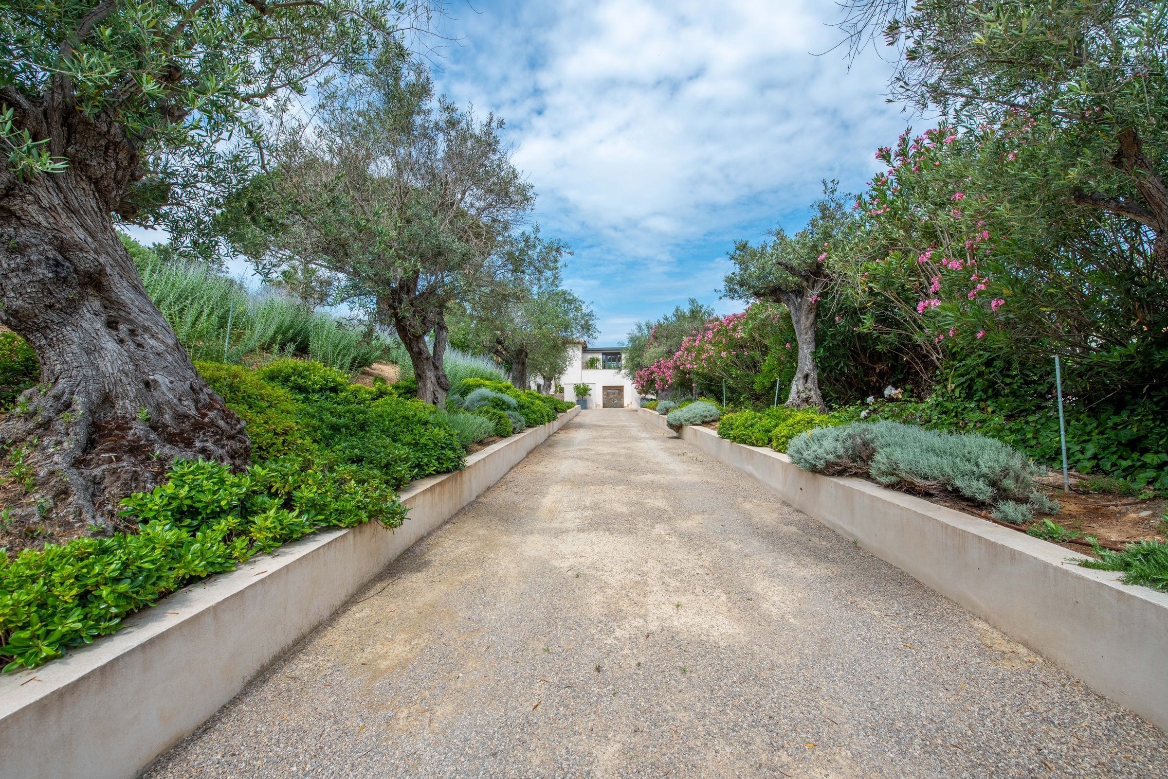 Villa Anna Gallary Image 6