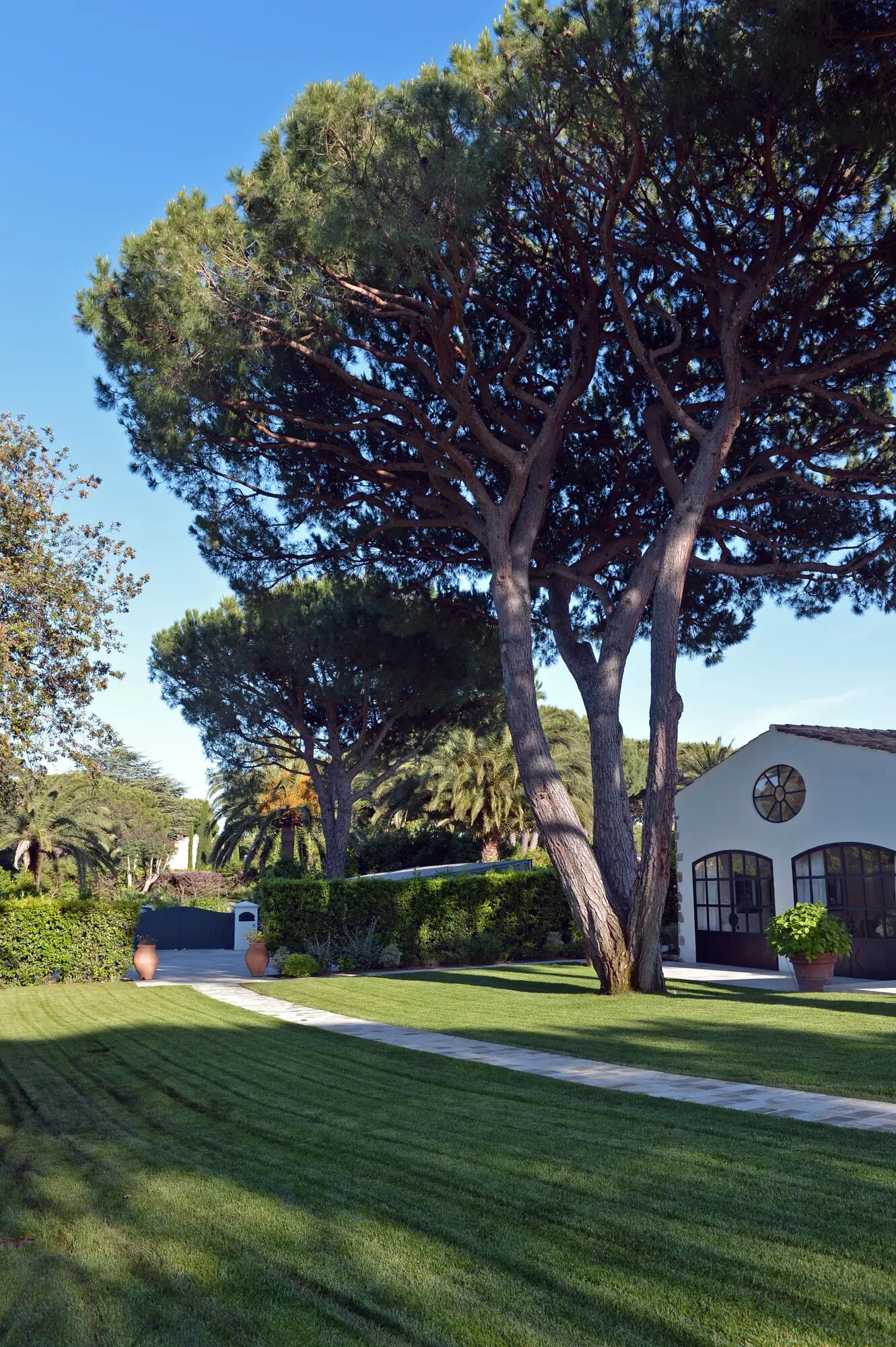 Villa Apolline Gallary Image 1