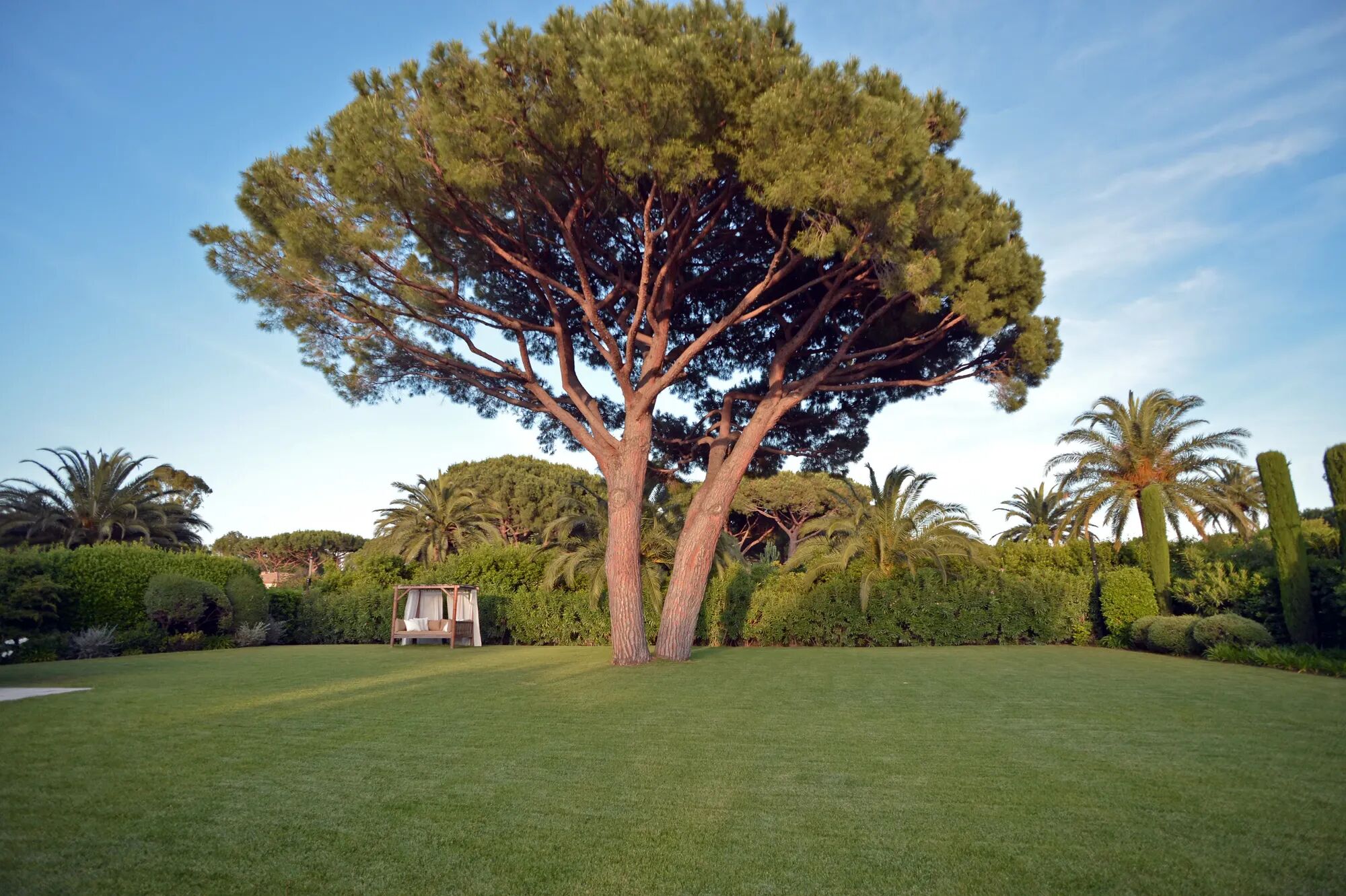 Villa Apolline Gallary Image 2