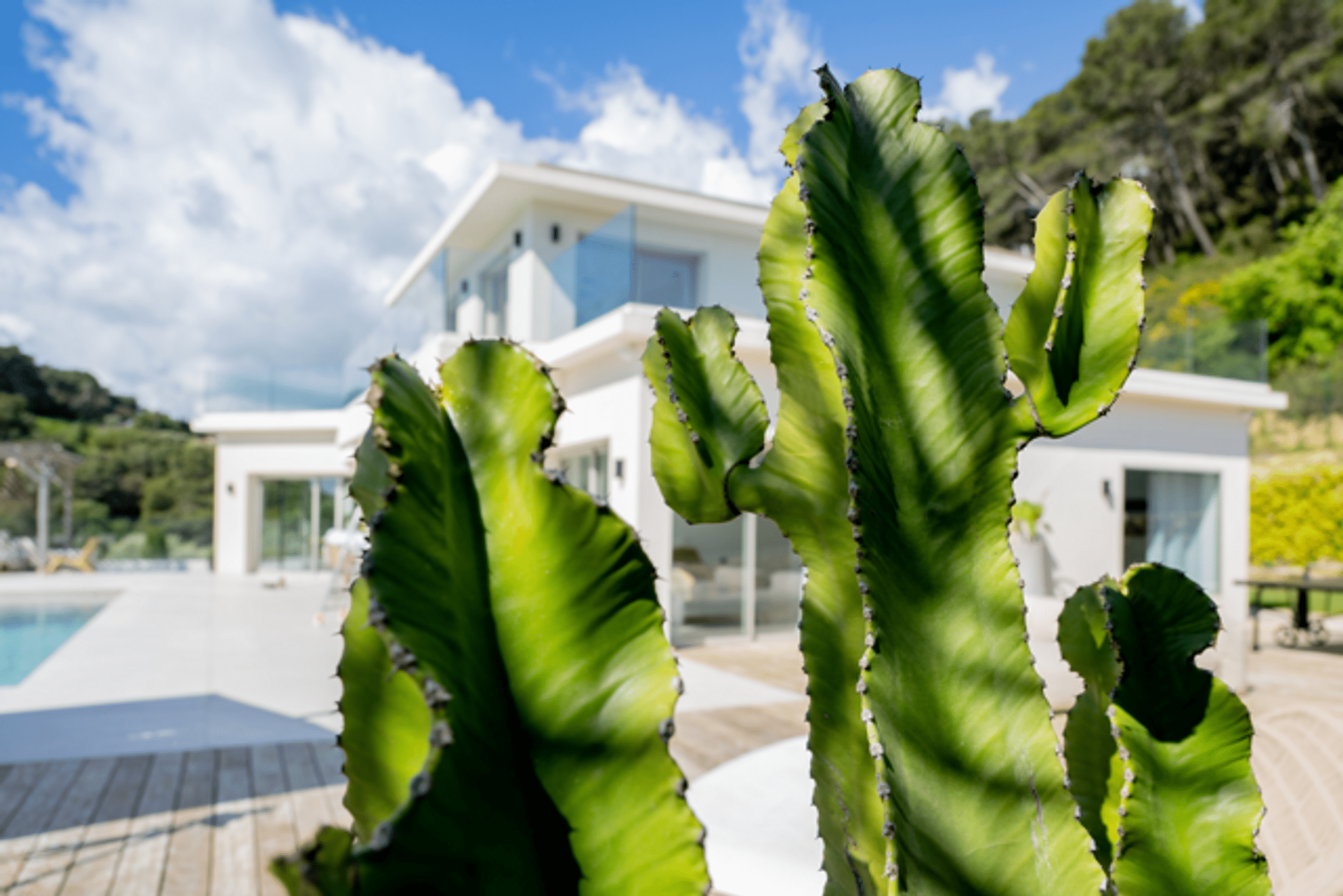 Villa Bergamotte Gallary Image 1
