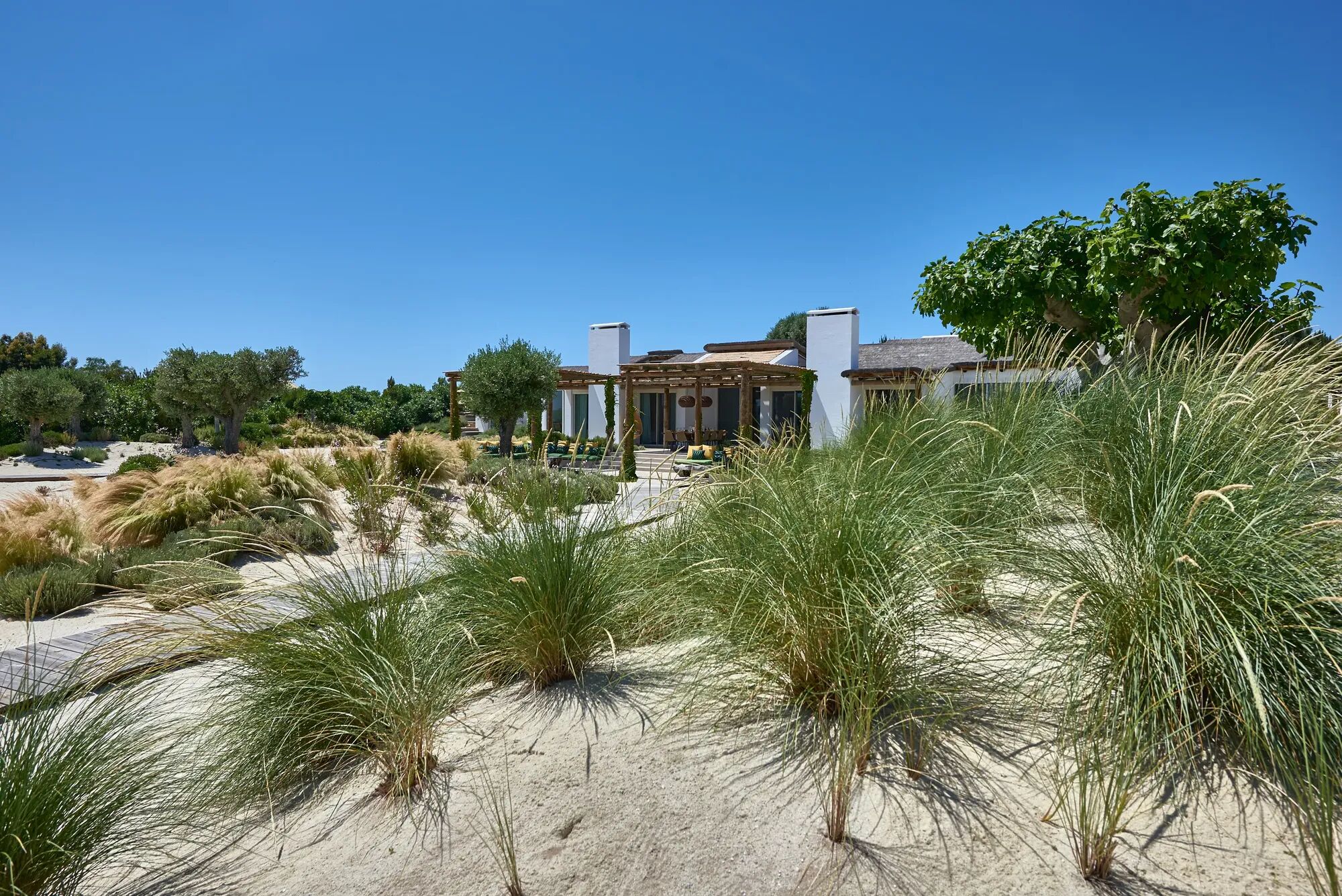 Villa Carragueira Gallary Image 4