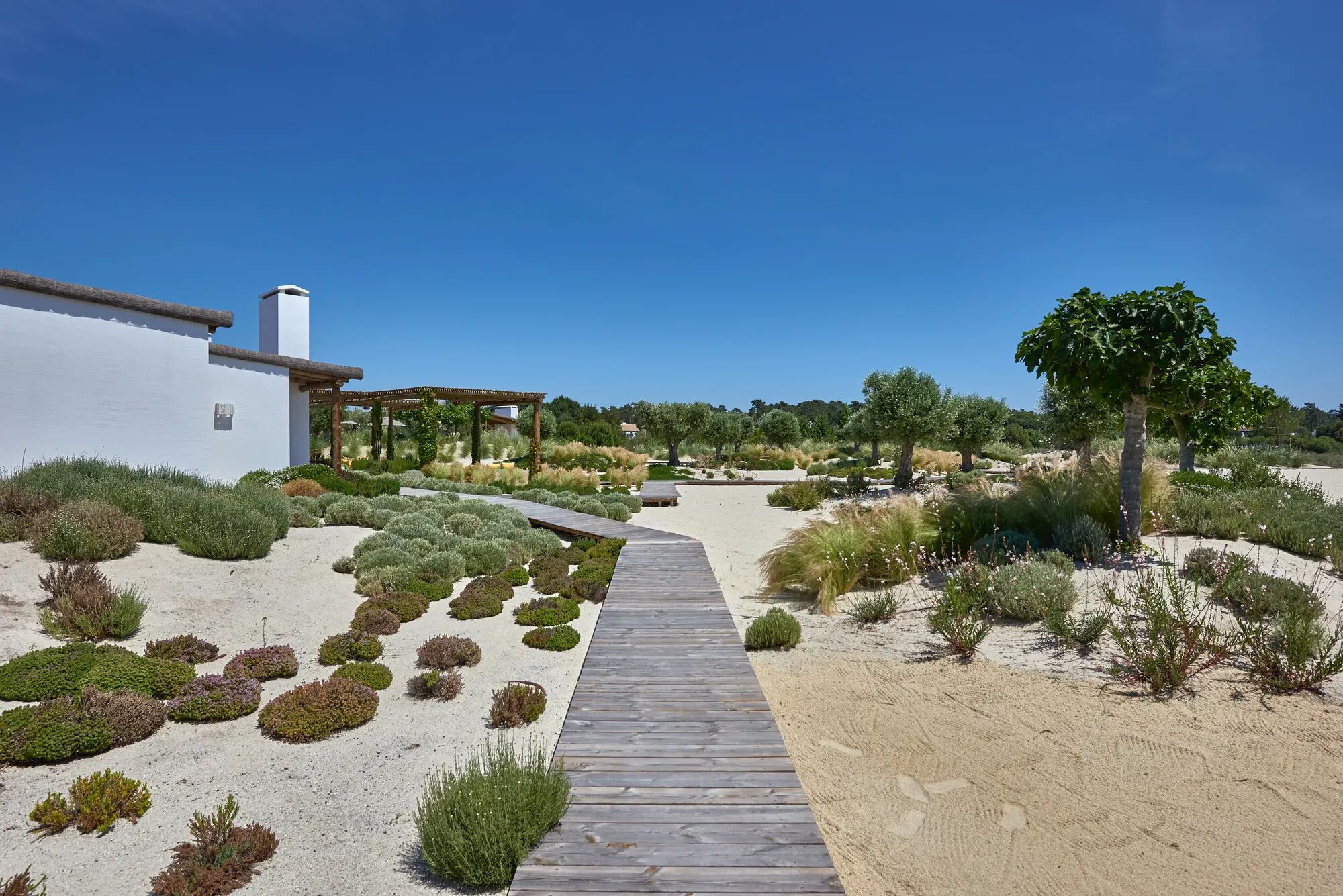 Villa Carragueira Gallary Image 4