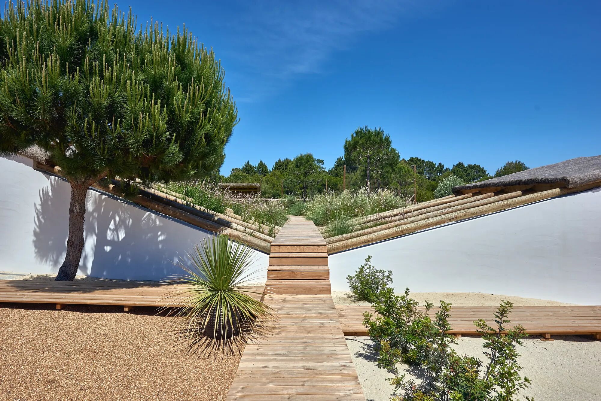 Villa Carragueira Gallary Image 1