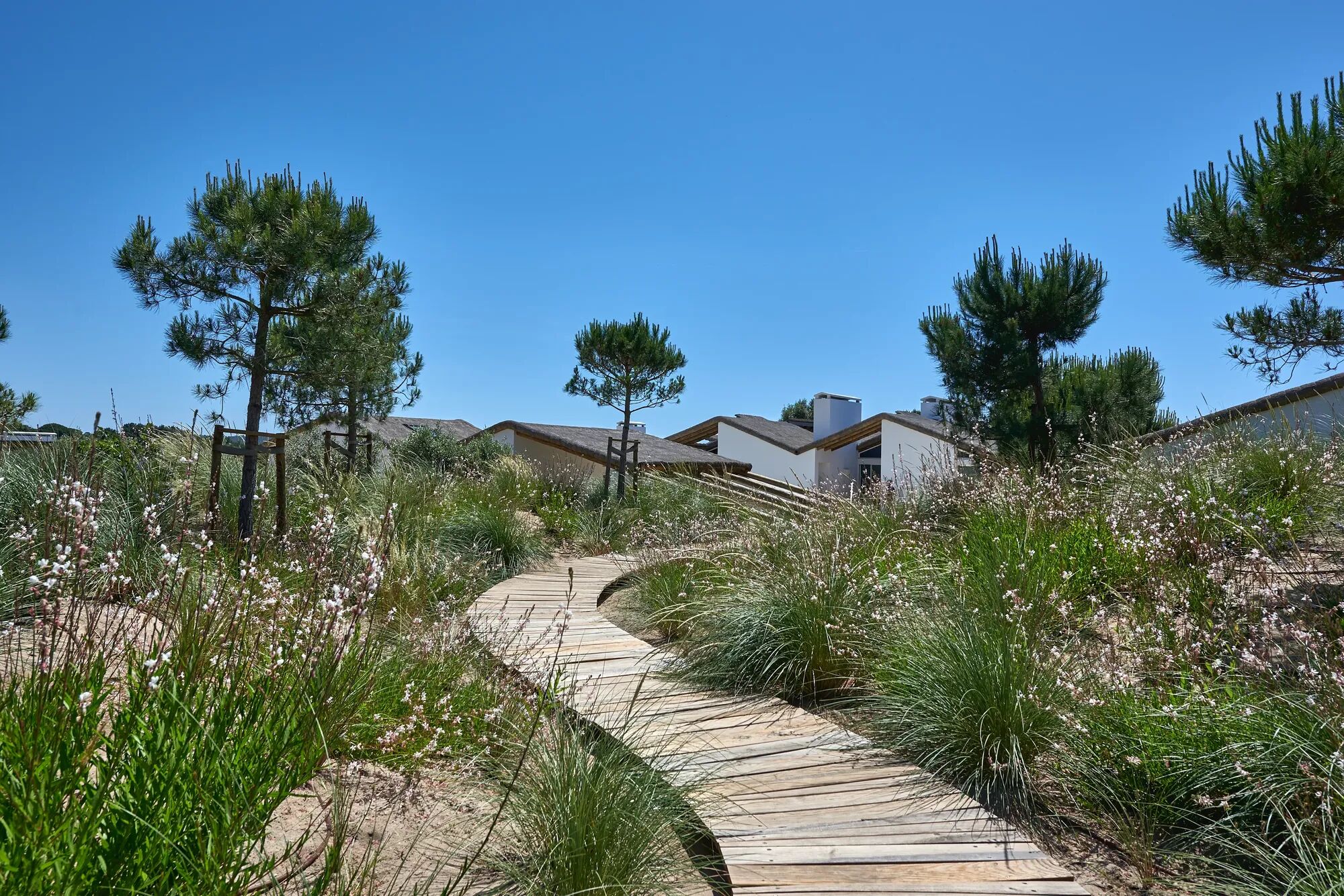 Villa Carragueira Gallary Image 5