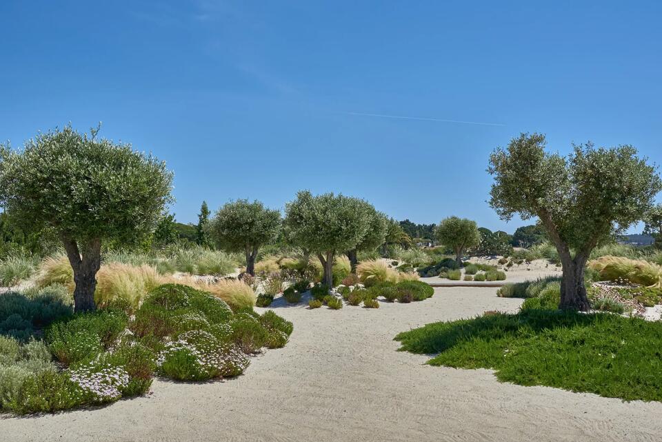 Villa Carragueira Gallery Image 2