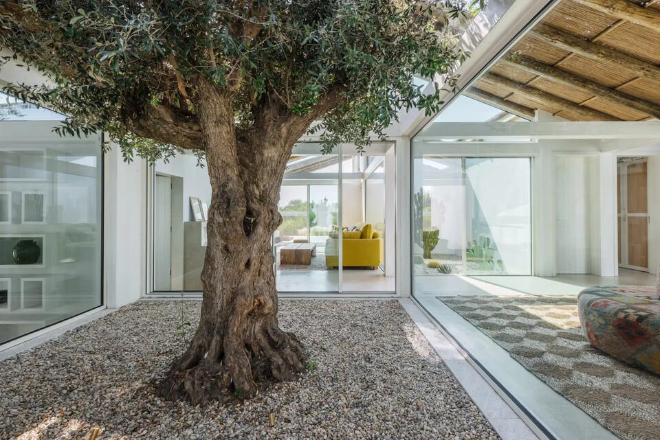 Villa Carragueira Gallery Image 3