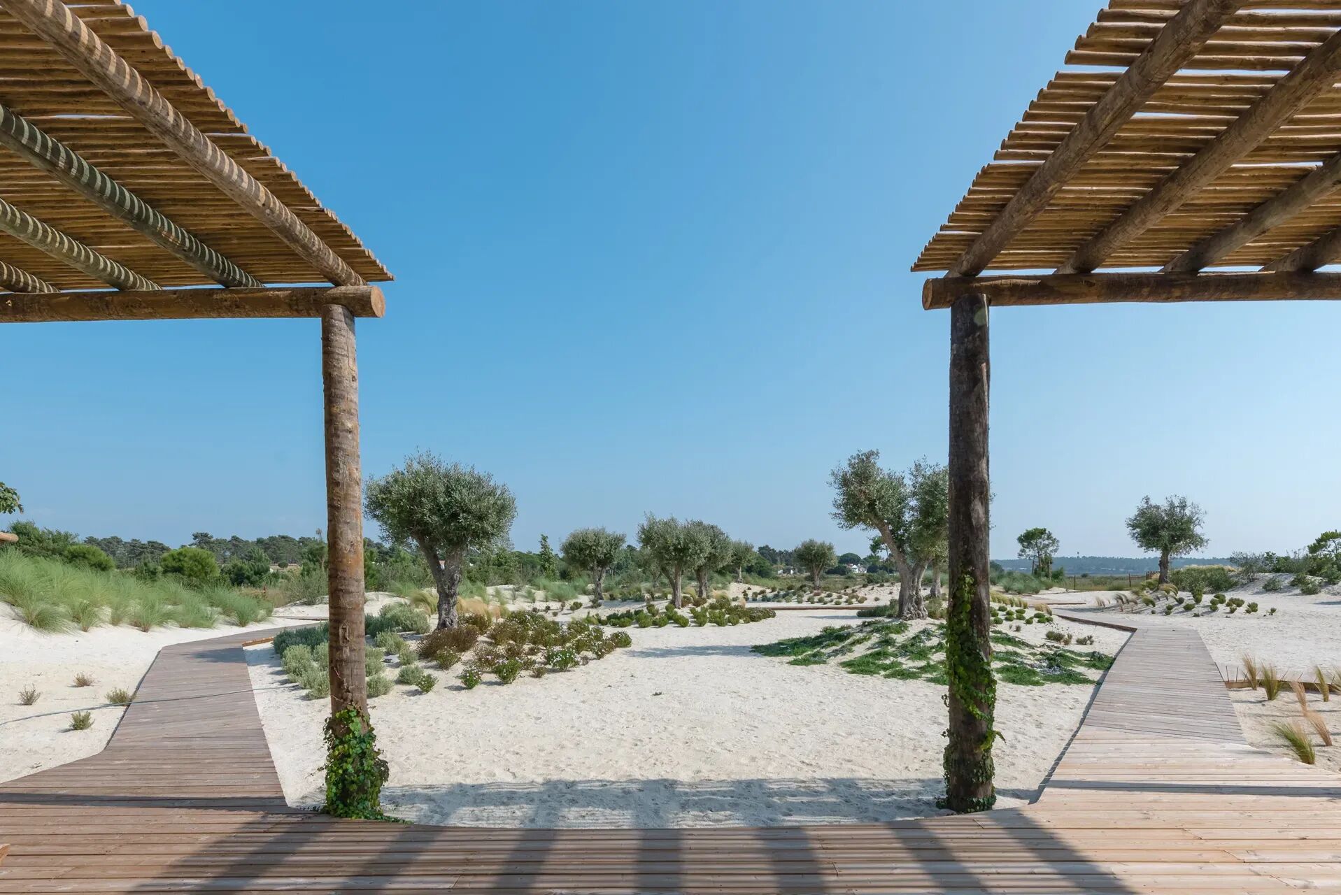 Villa Carragueira Gallary Image 6